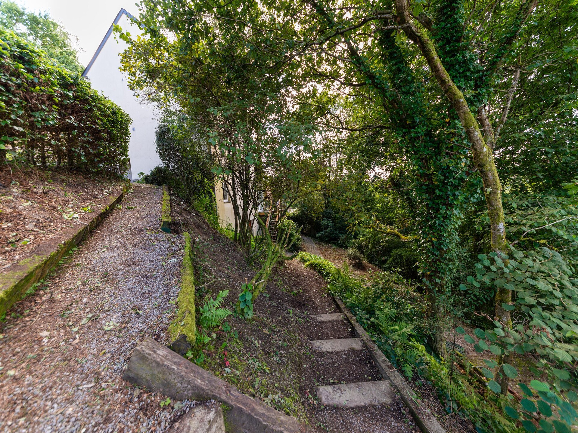 Rustiek bosappartement voor 5 aan de Semois in Bouillon - foto 29