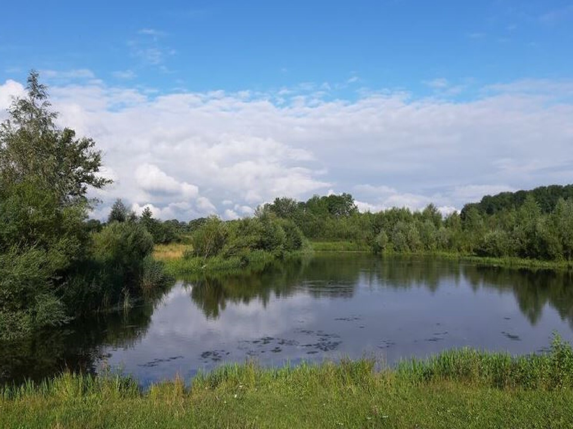Gelink Hof: Luxe vakantiehuis voor 17 personen aan de golf in Rekken - foto 37