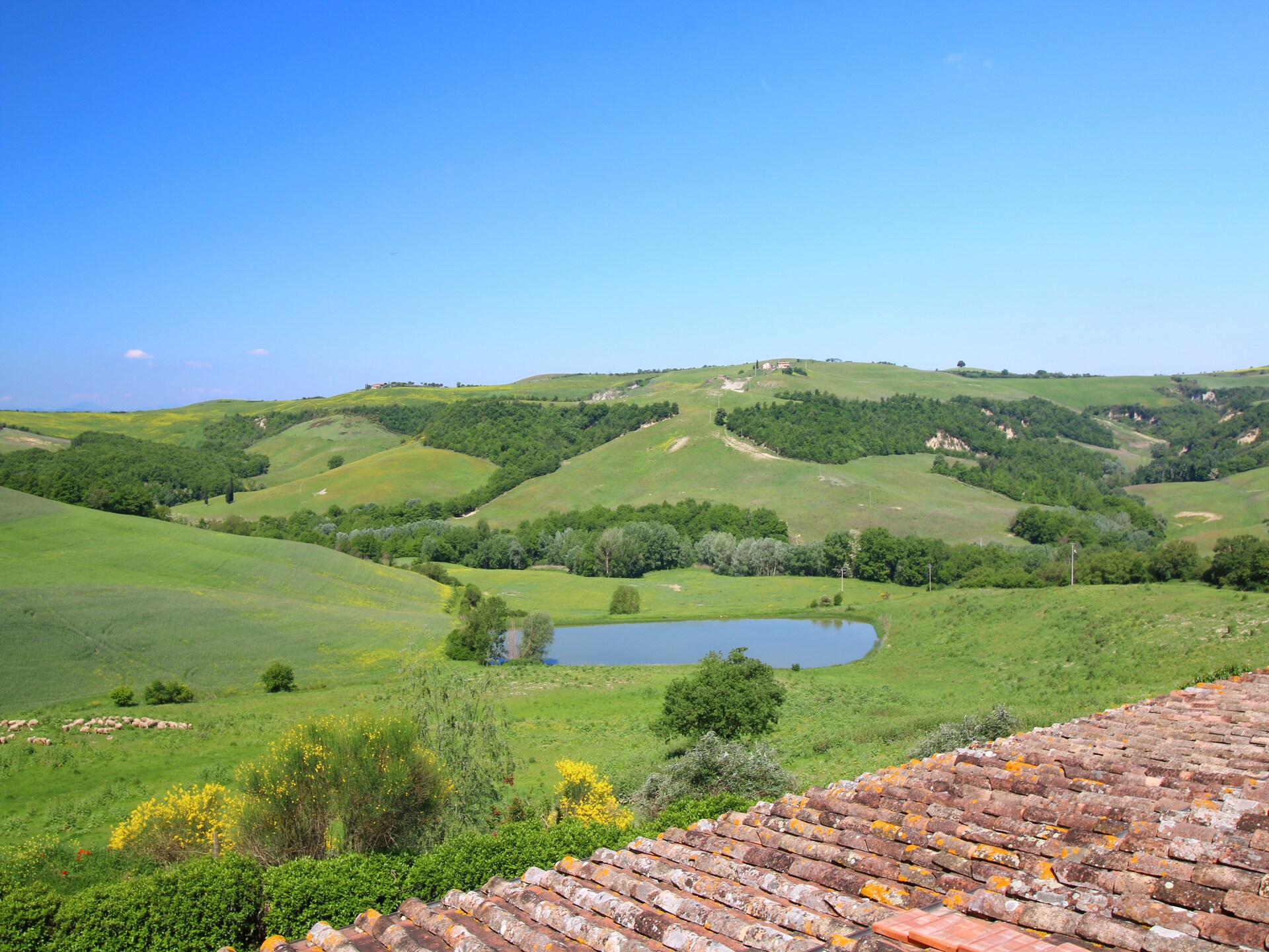 Sfeervolle boerderij Biancospino in het hart van Montalcino - foto 19