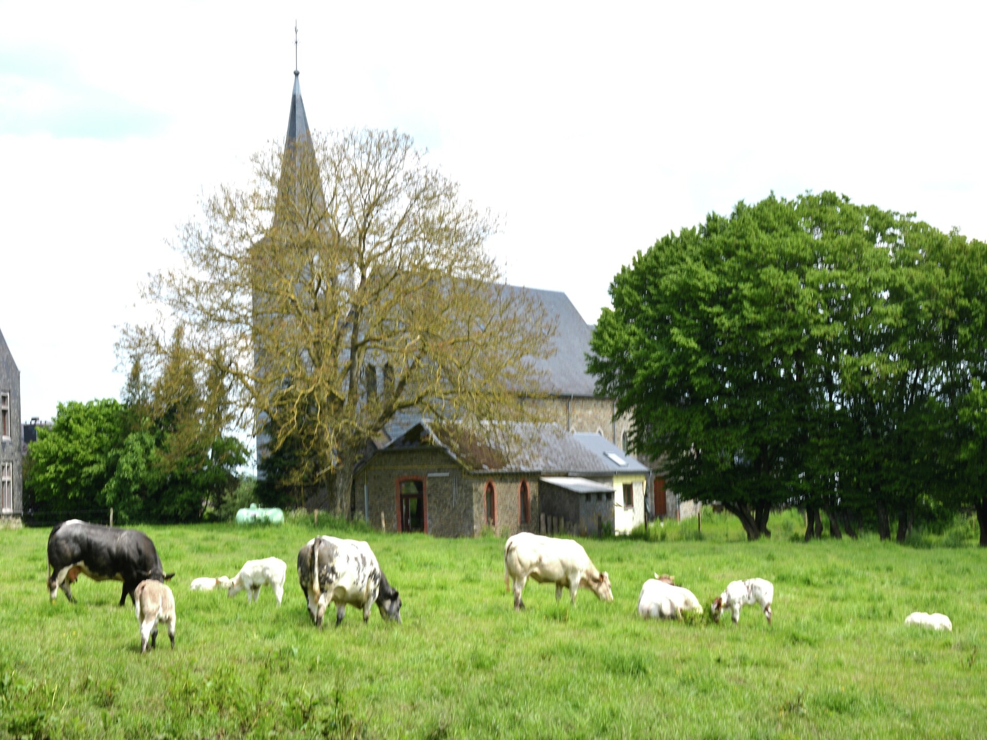 Rustiek verbouwde boerderij voor 14 personen in Tavigny - foto 24