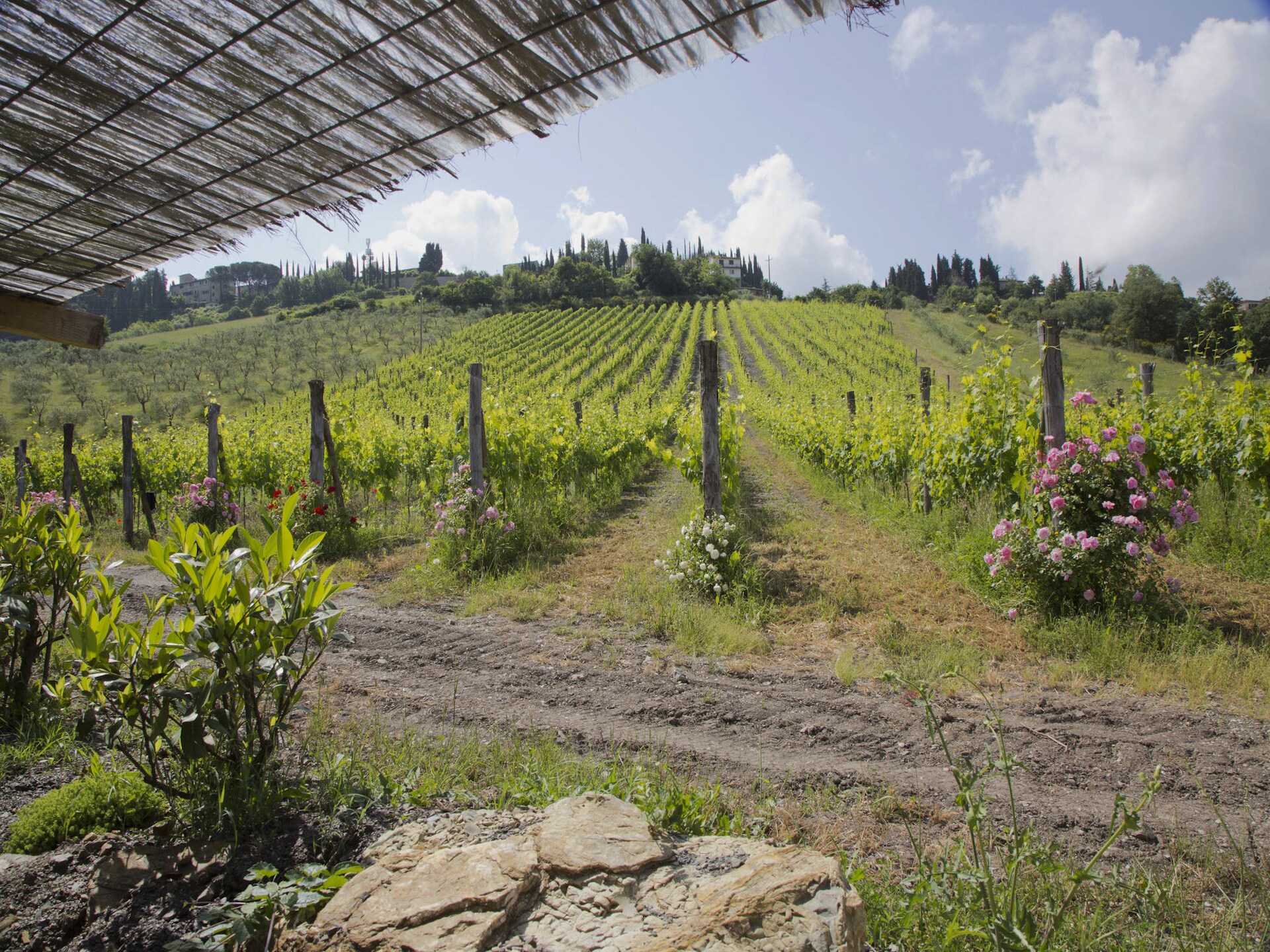 Centraal gelegen boerderij Villa Ulivo in Radda in Chianti - foto 39