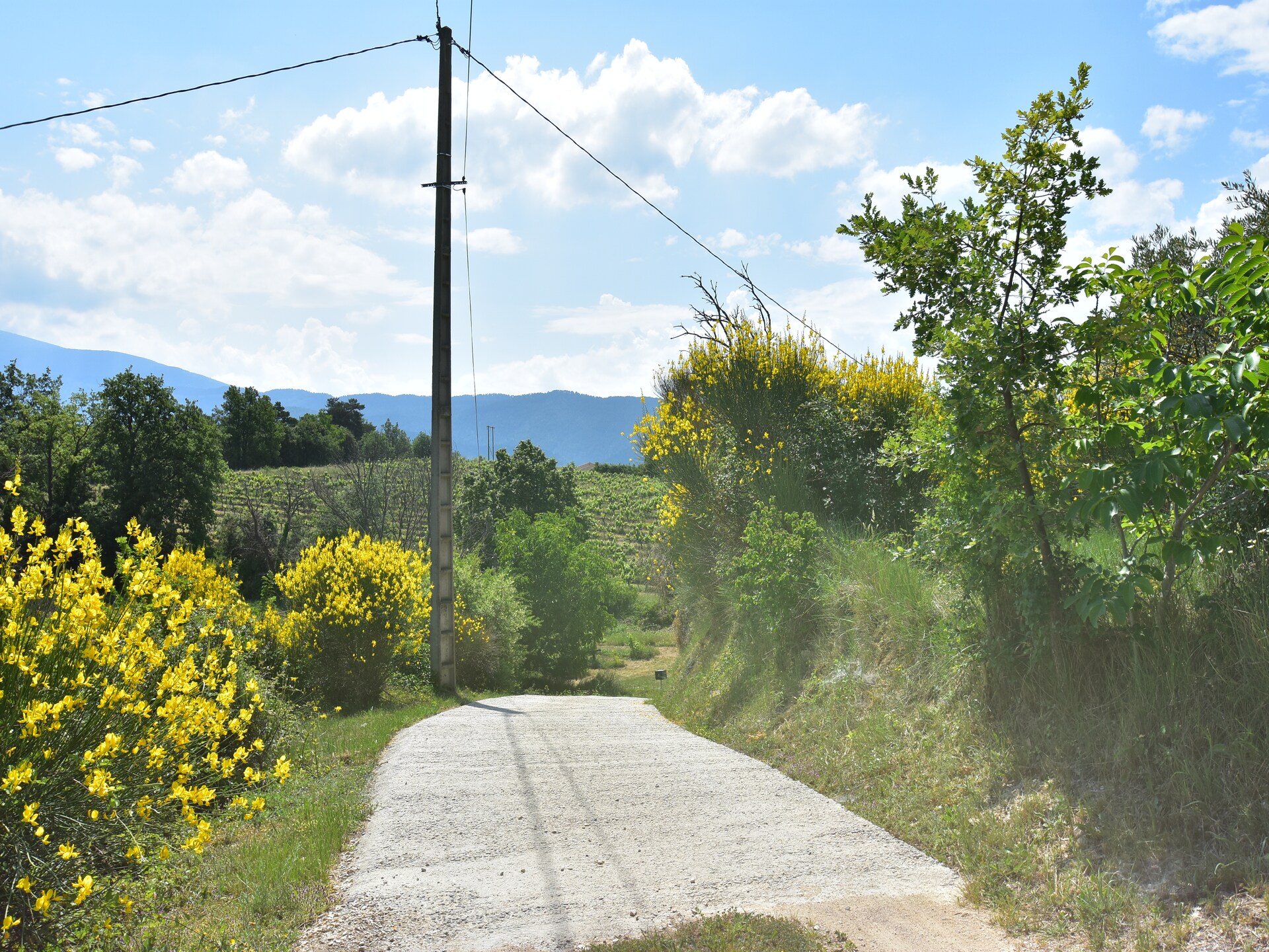 Villa met privézwembad en uitzicht op Mont Ventoux in Malaucène - foto 32