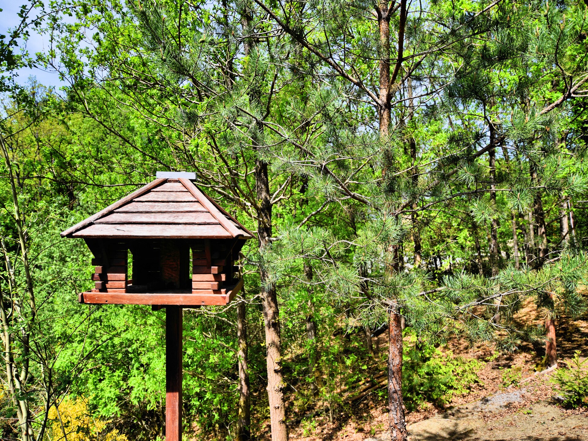 Ruim vakantiehuis met sauna aan het bos in Barvaux-sur-Ourthe - foto 33