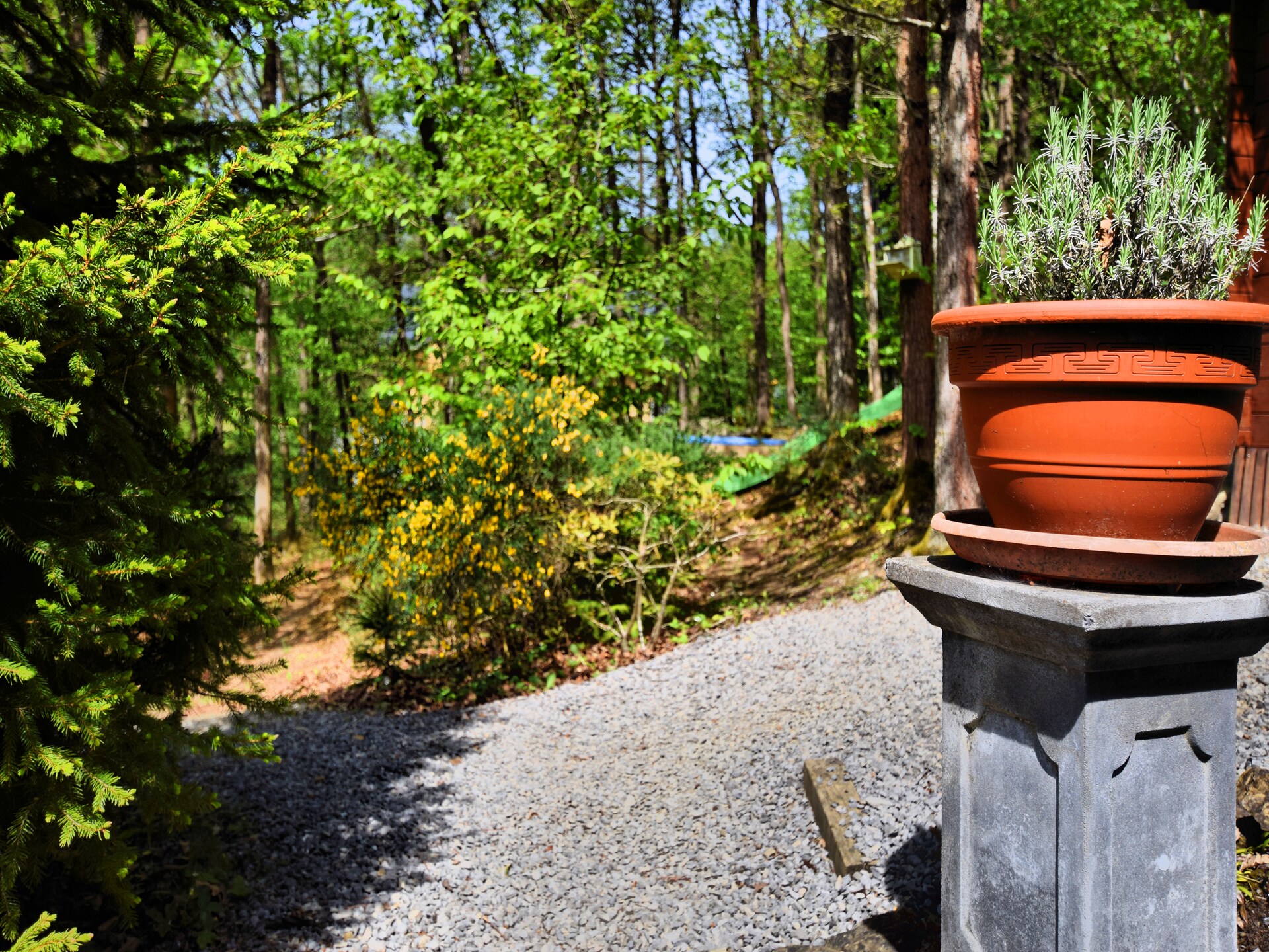 Ruim vakantiehuis met sauna aan het bos in Barvaux-sur-Ourthe - foto 35