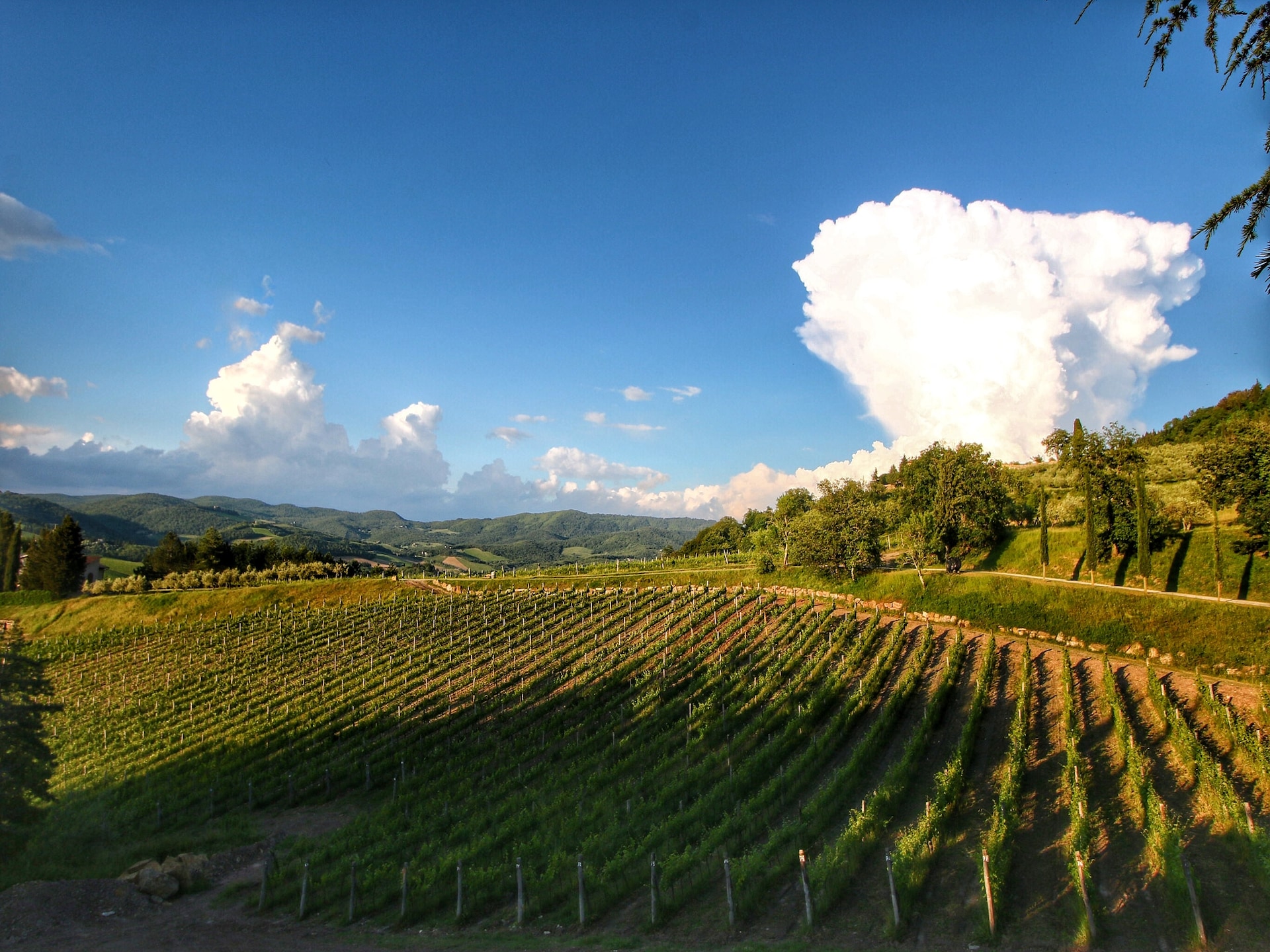 Ruim appartement Limone in het hart van Radda in Chianti - foto 39