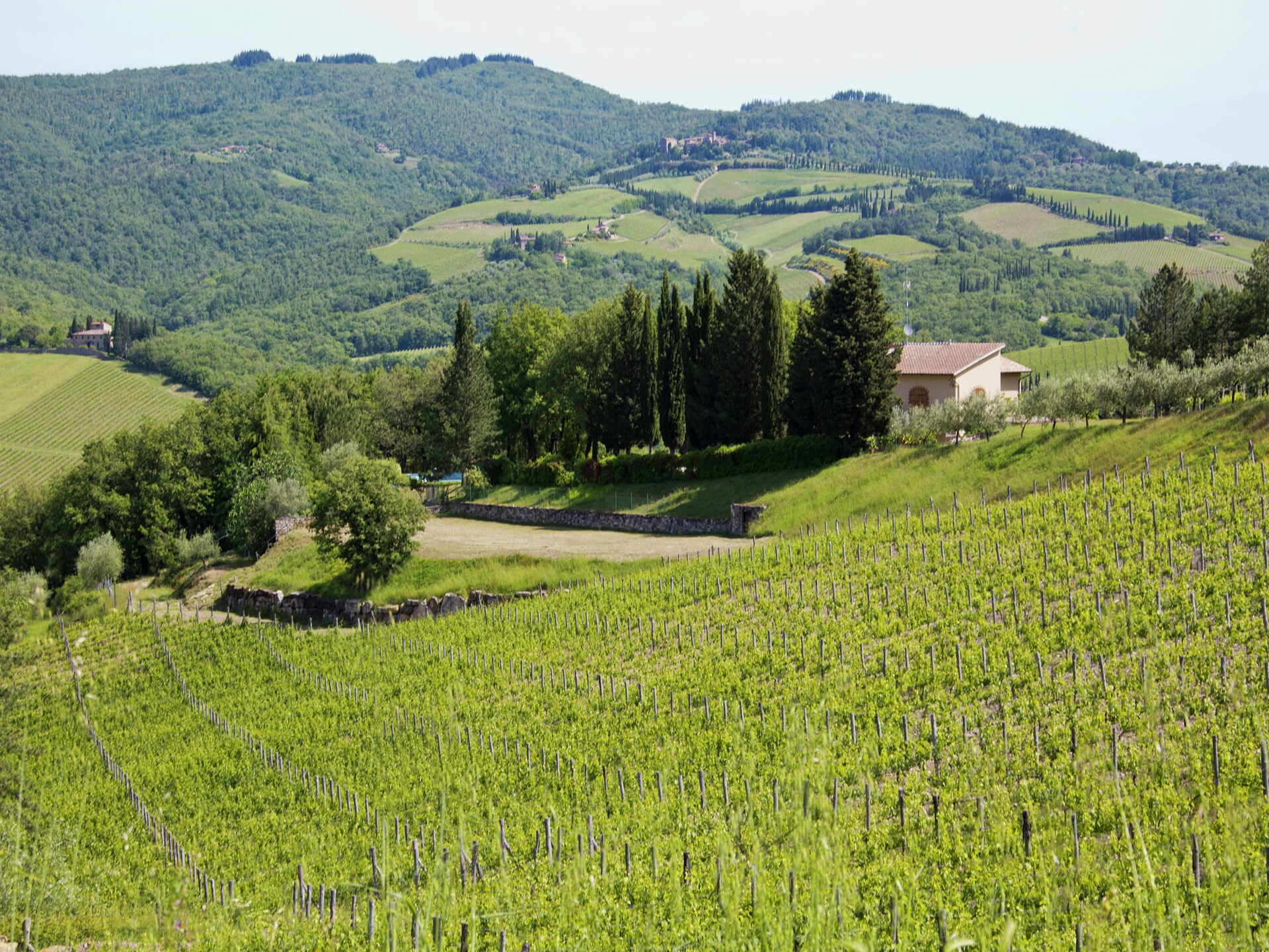 Sfeervol appartement Girasole in het hart van Radda in Chianti - foto 38