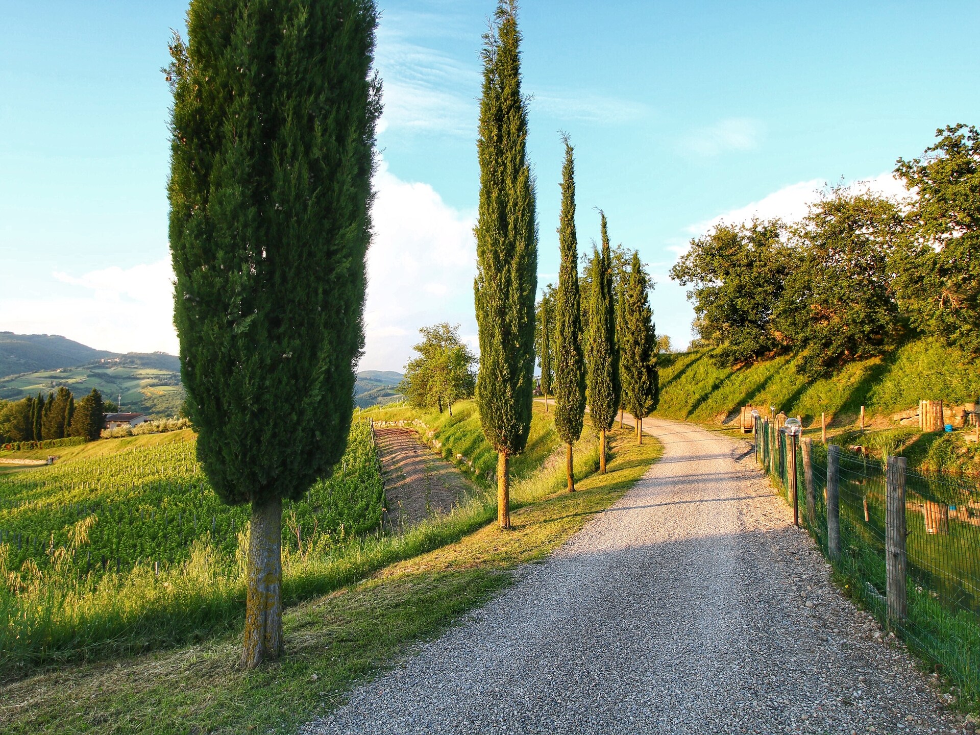 Sfeervol appartement Girasole in het hart van Radda in Chianti - foto 36