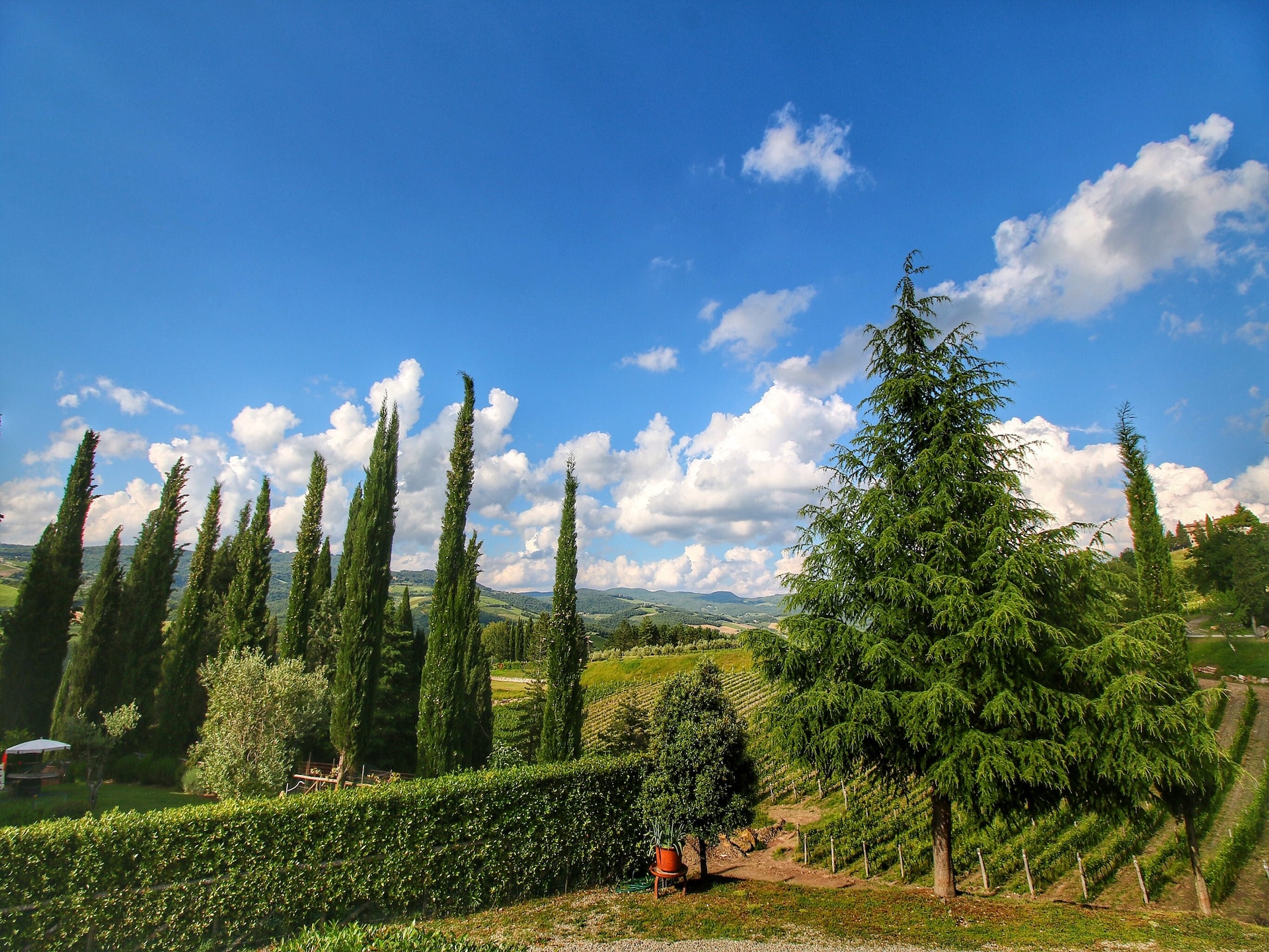 Sfeervol appartement Uva in het hart van Radda in Chianti - foto 36