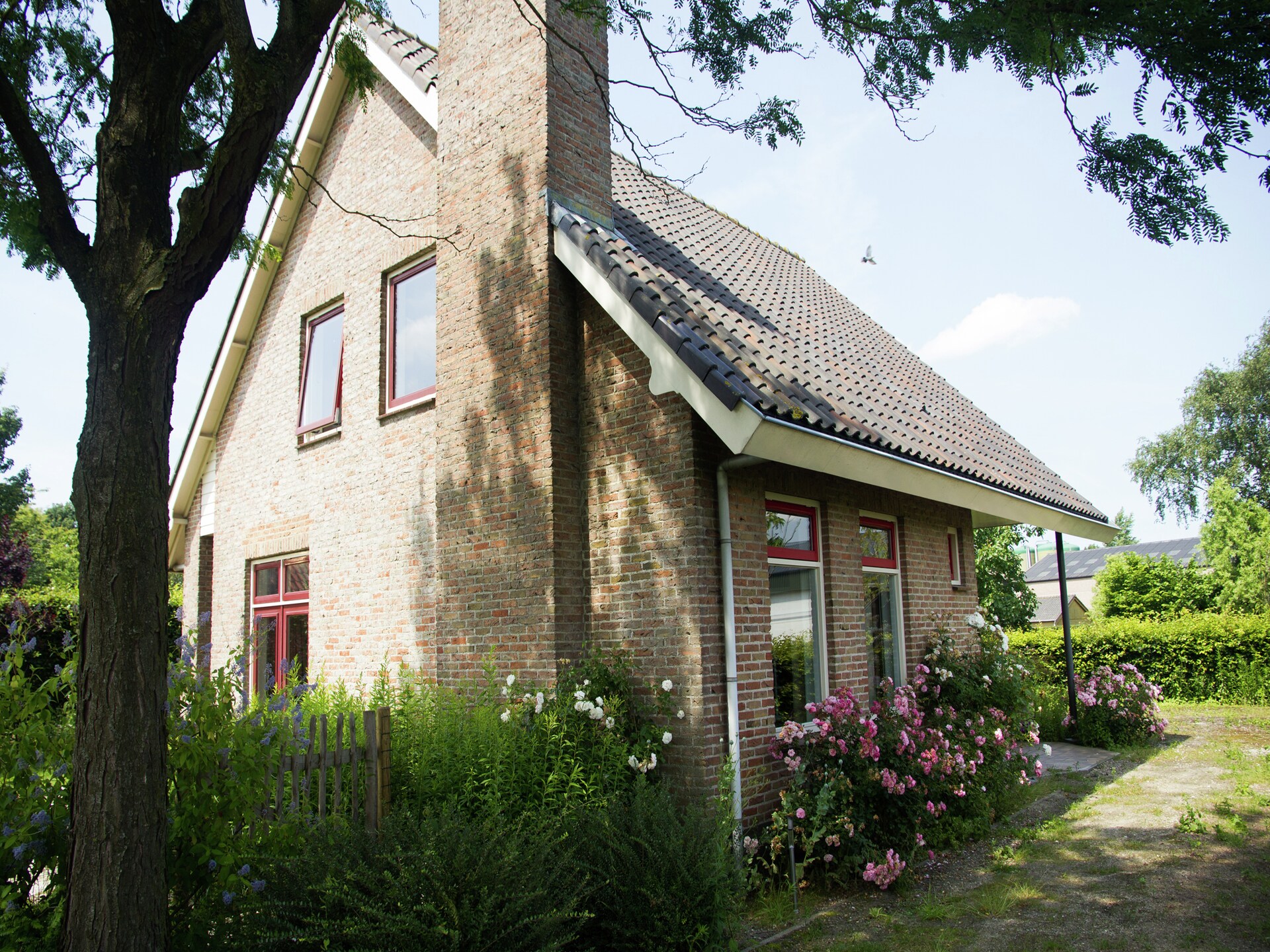 De Biezenknop: rustig vakantiehuis met golfbaan in Zeeuws-Vlaanderen - foto 27