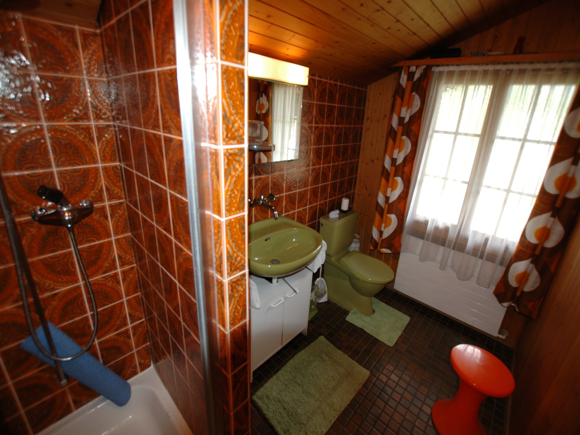 Alpenrust in Wilderswil: knus chalet met uitzicht op Jungfrau en Mönch - foto 11