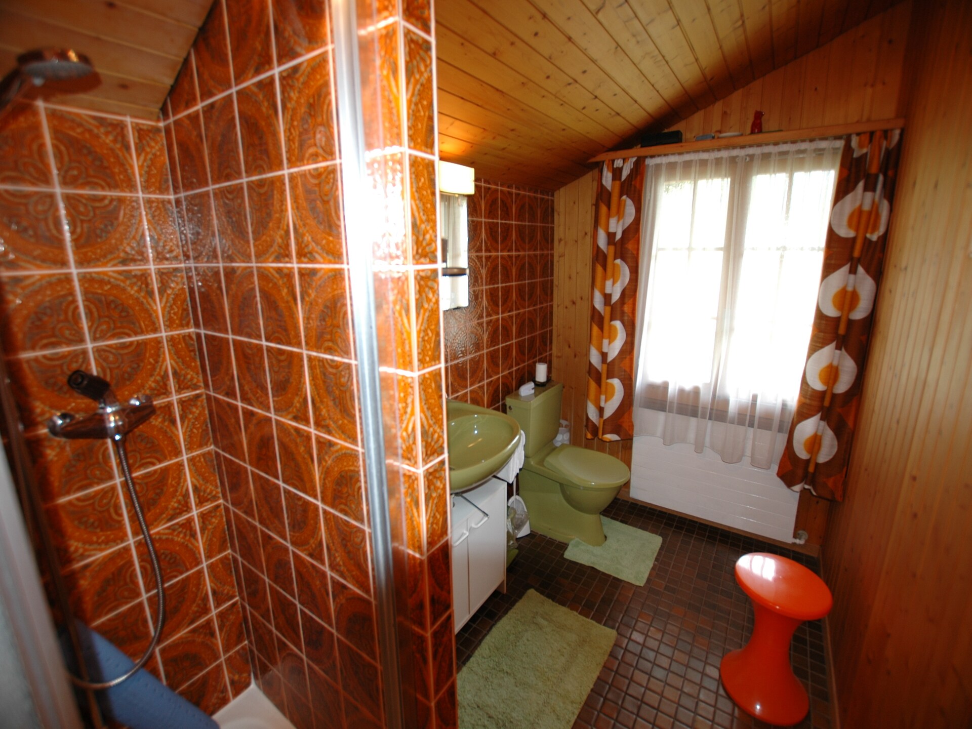 Alpenrust in Wilderswil: knus chalet met uitzicht op Jungfrau en Mönch - foto 12