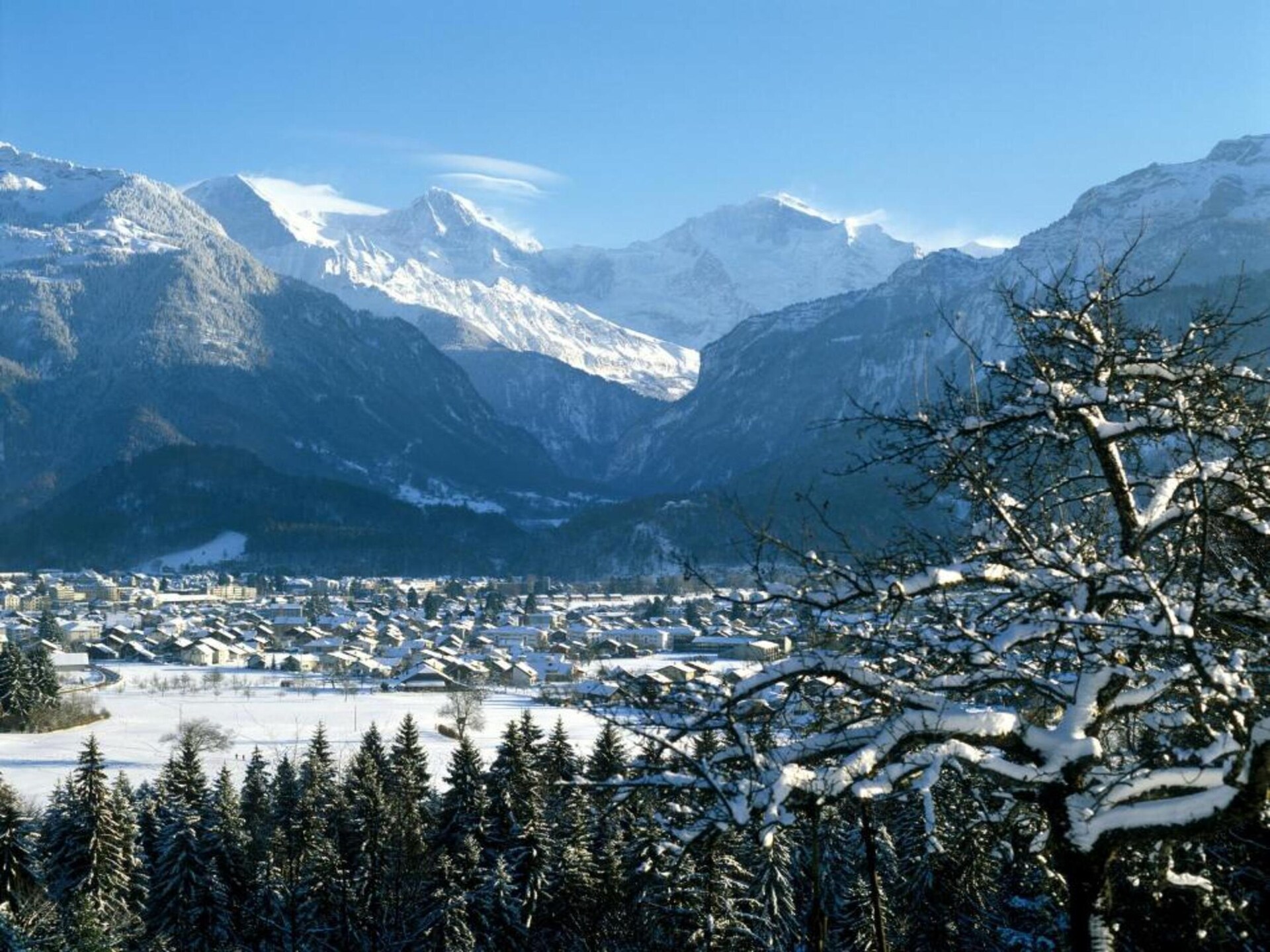 Alpenrust in Wilderswil: knus chalet met uitzicht op Jungfrau en Mönch - foto 39