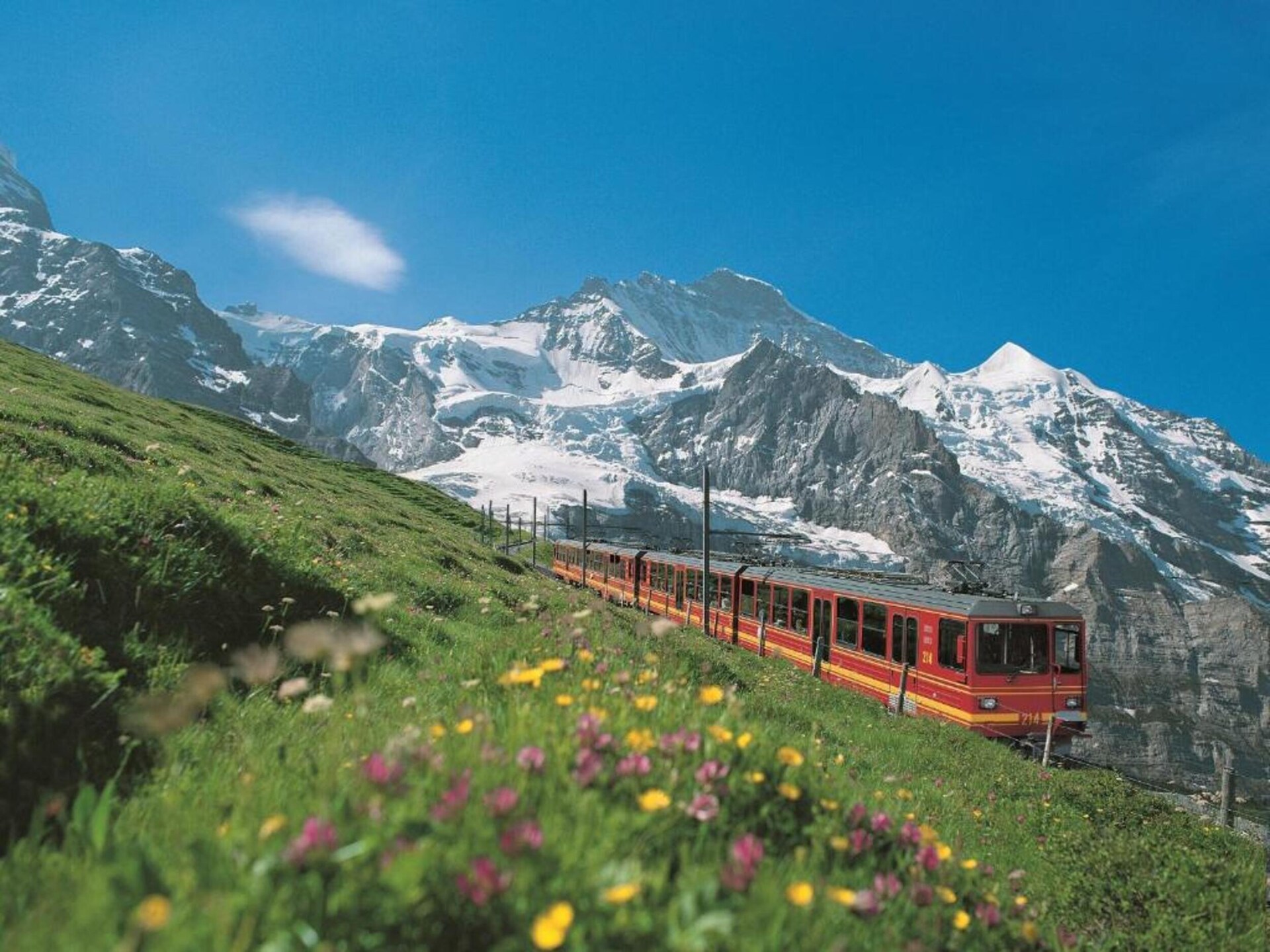 Alpenrust in Wilderswil: knus chalet met uitzicht op Jungfrau en Mönch - foto 36