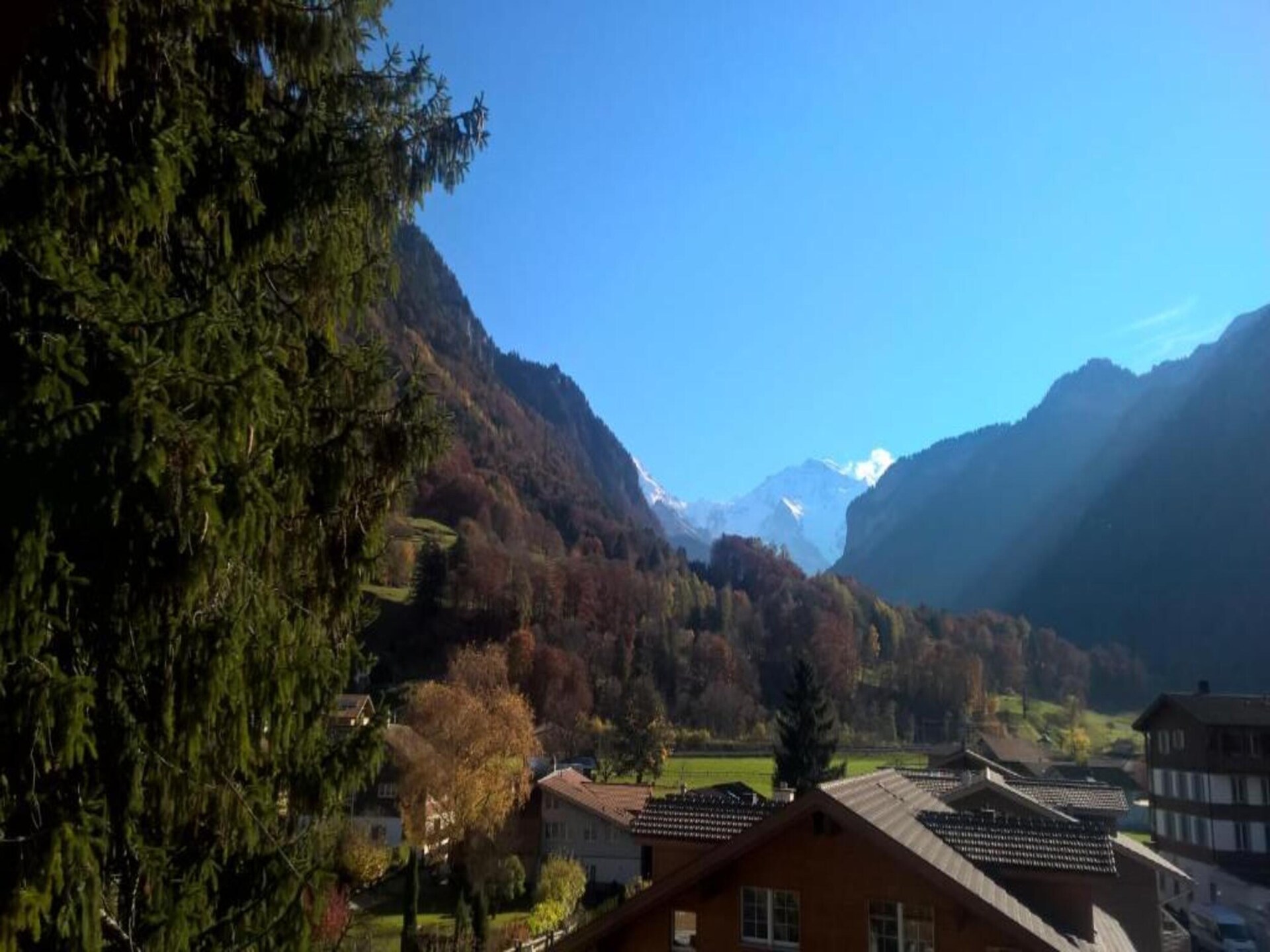 Alpenrust in Wilderswil: knus chalet met uitzicht op Jungfrau en Mönch - foto 28