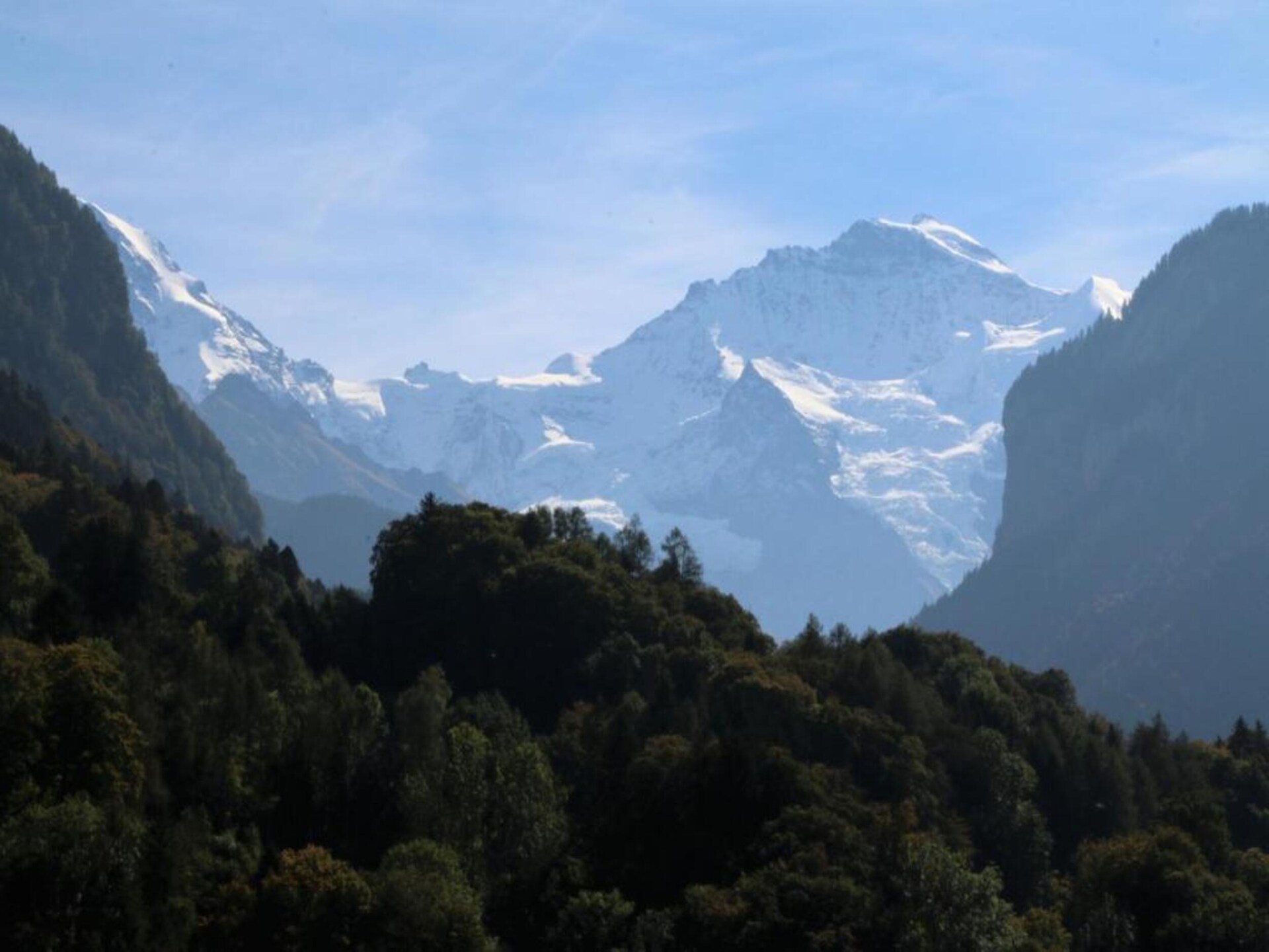 Alpenrust in Wilderswil: knus chalet met uitzicht op Jungfrau en Mönch - foto 29