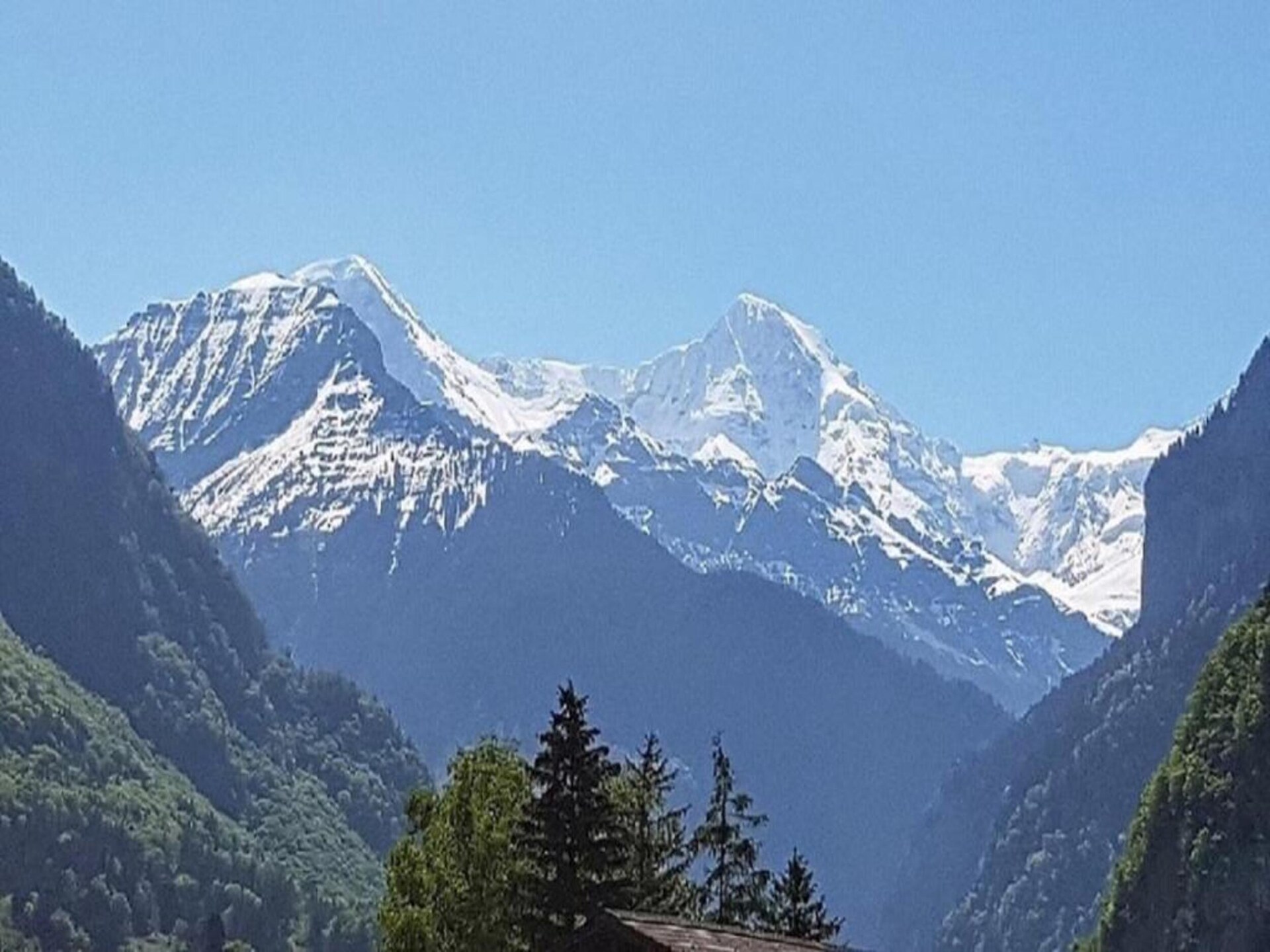 Alpenrust in Wilderswil: knus chalet met uitzicht op Jungfrau en Mönch - foto 23