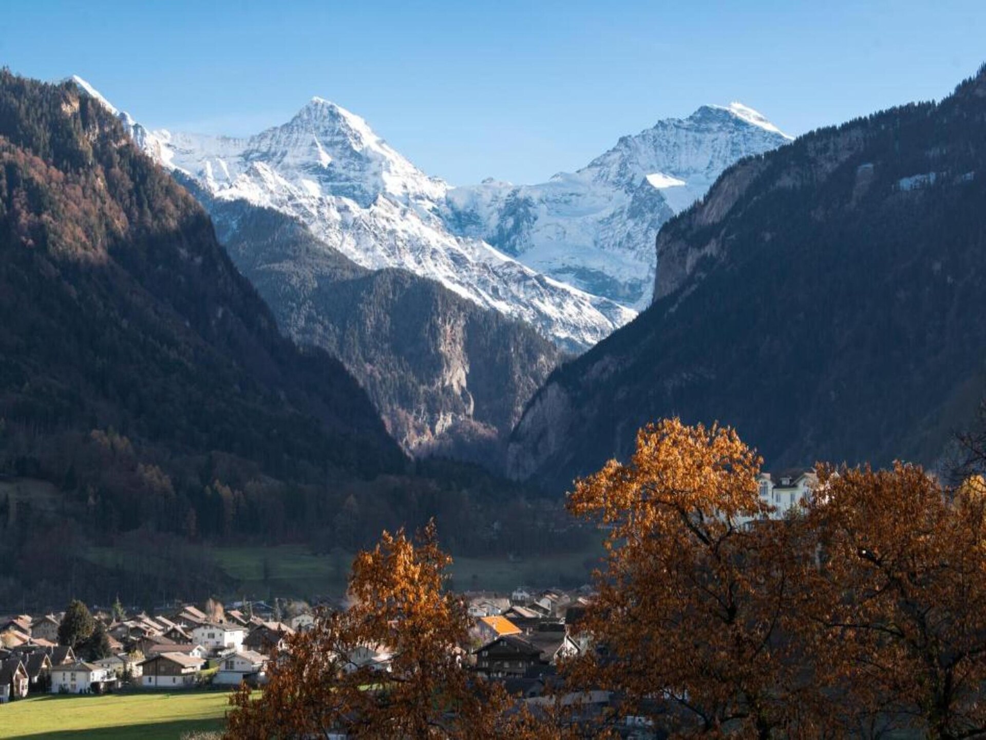 Alpenrust in Wilderswil: knus chalet met uitzicht op Jungfrau en Mönch - foto 22