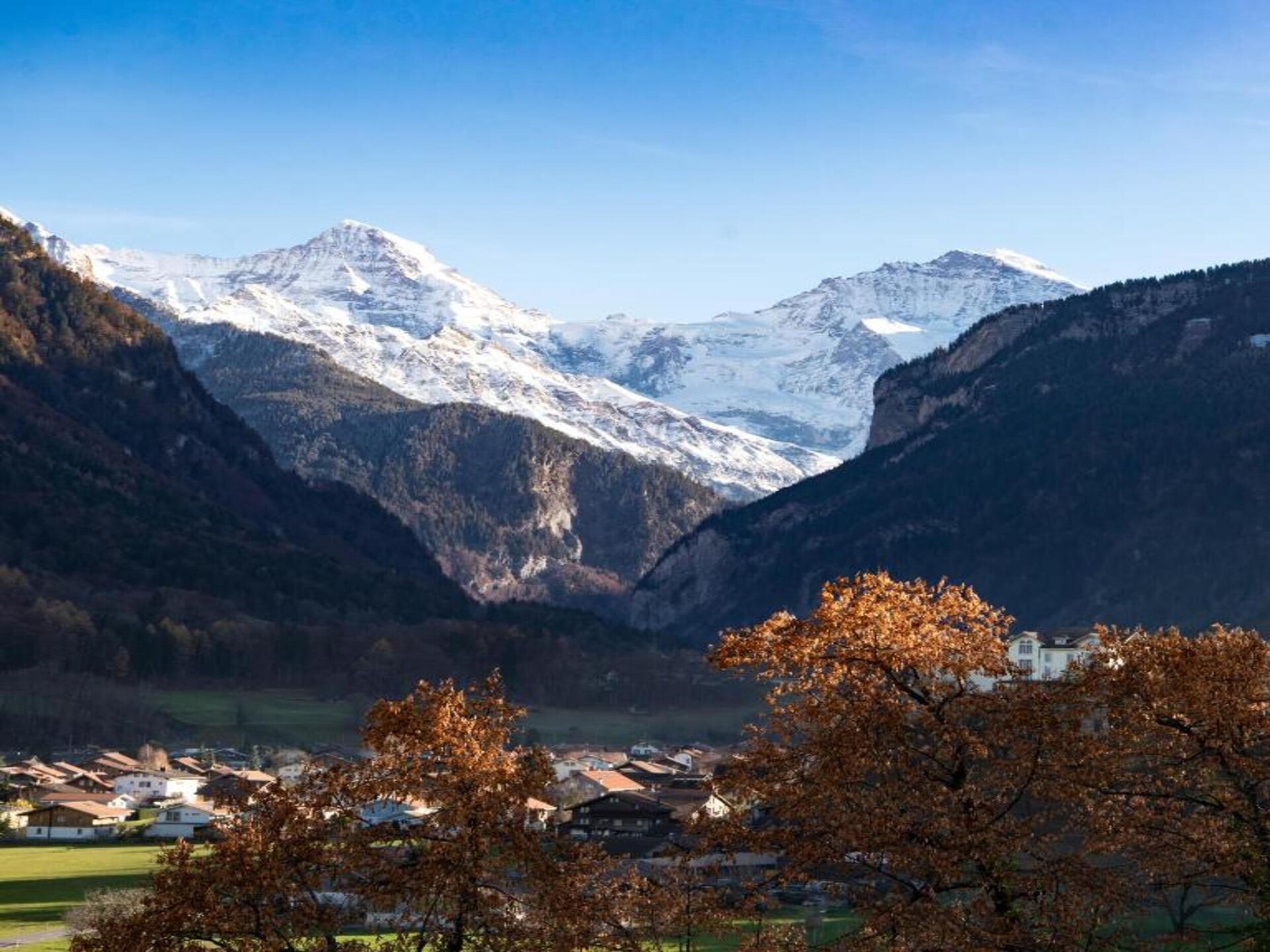 Alpenrust in Wilderswil: knus chalet met uitzicht op Jungfrau en Mönch - foto 21