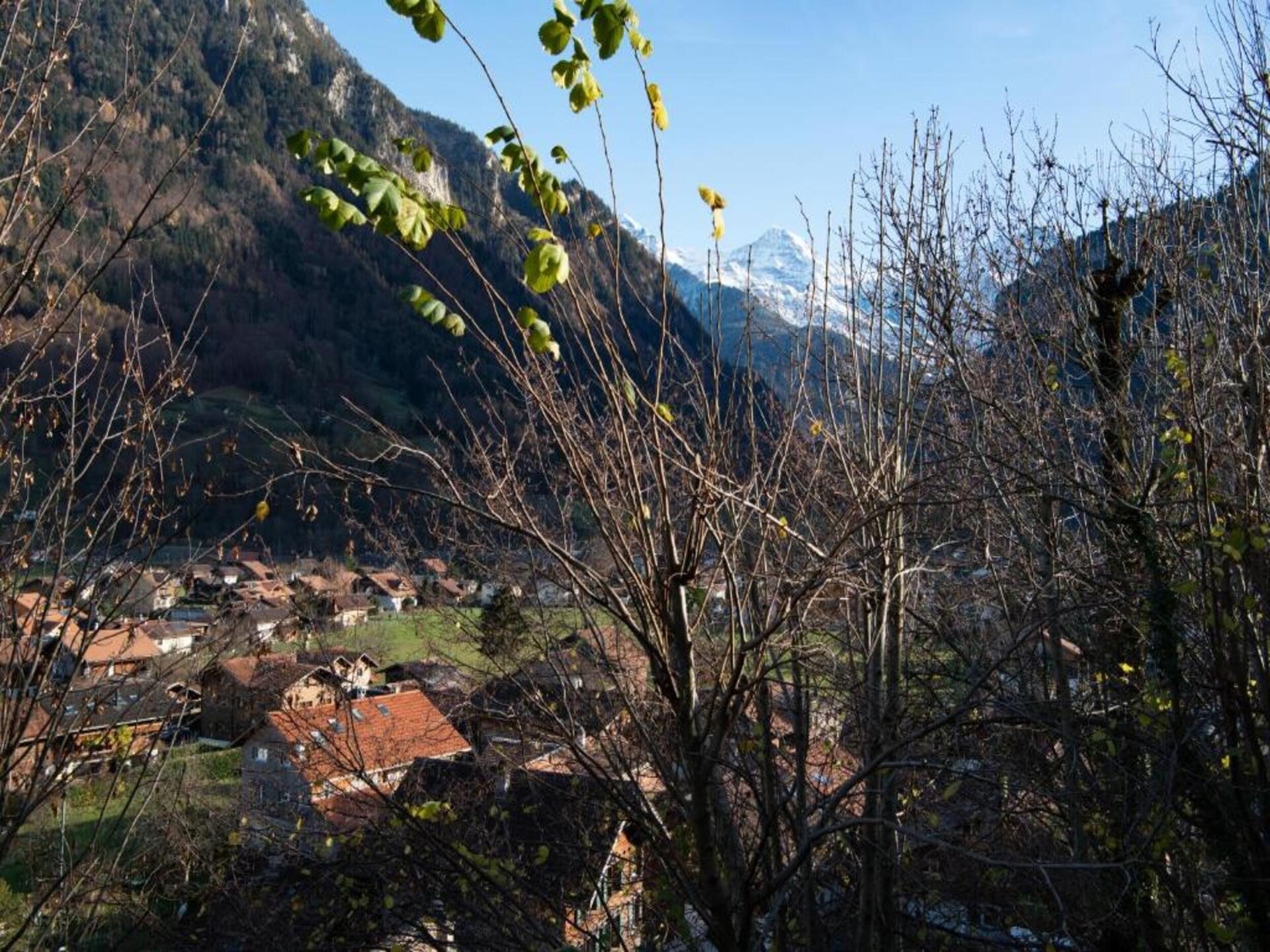 Alpenrust in Wilderswil: knus chalet met uitzicht op Jungfrau en Mönch - foto 20