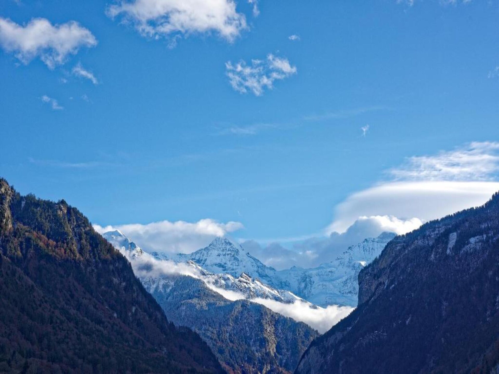 Alpenrust in Wilderswil: knus chalet met uitzicht op Jungfrau en Mönch - foto 18
