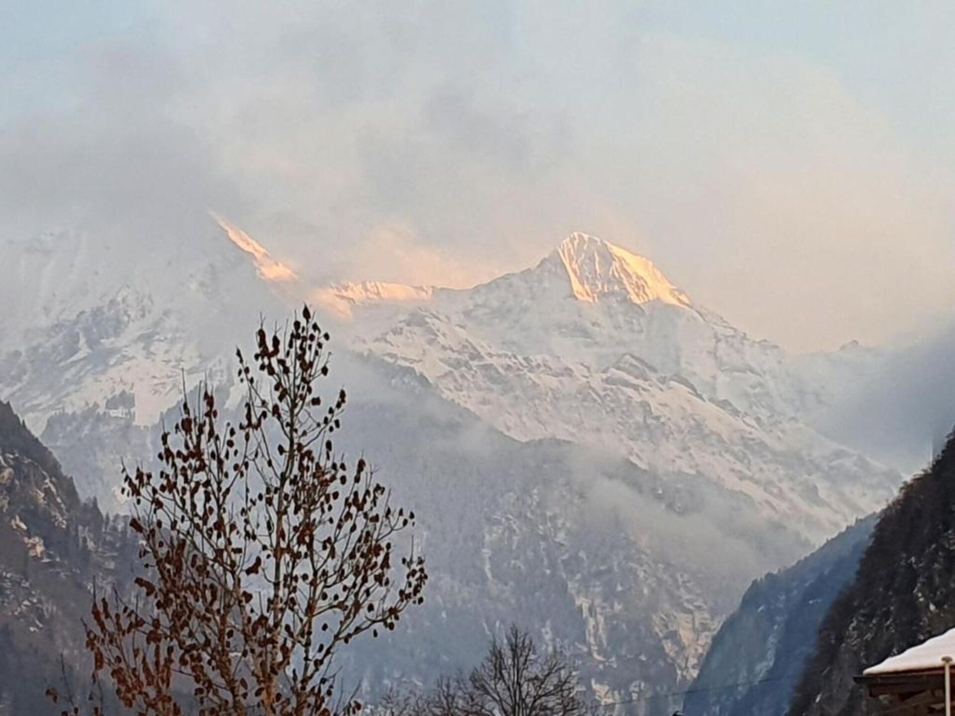 Alpenrust in Wilderswil: knus chalet met uitzicht op Jungfrau en Mönch - foto 41