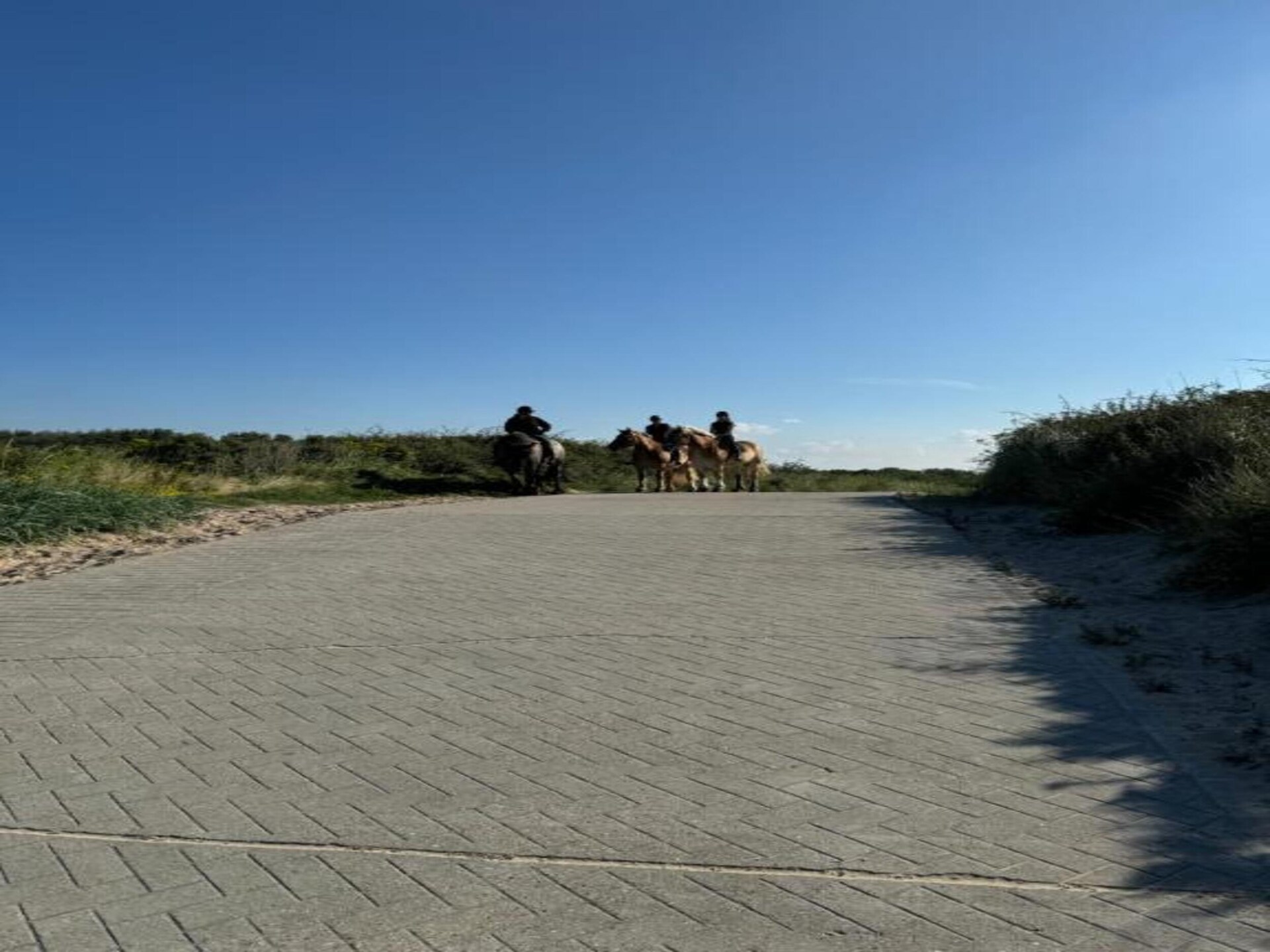 Jaren '30 villa met privétuin op loopafstand van het strand van Dishoek - foto 34