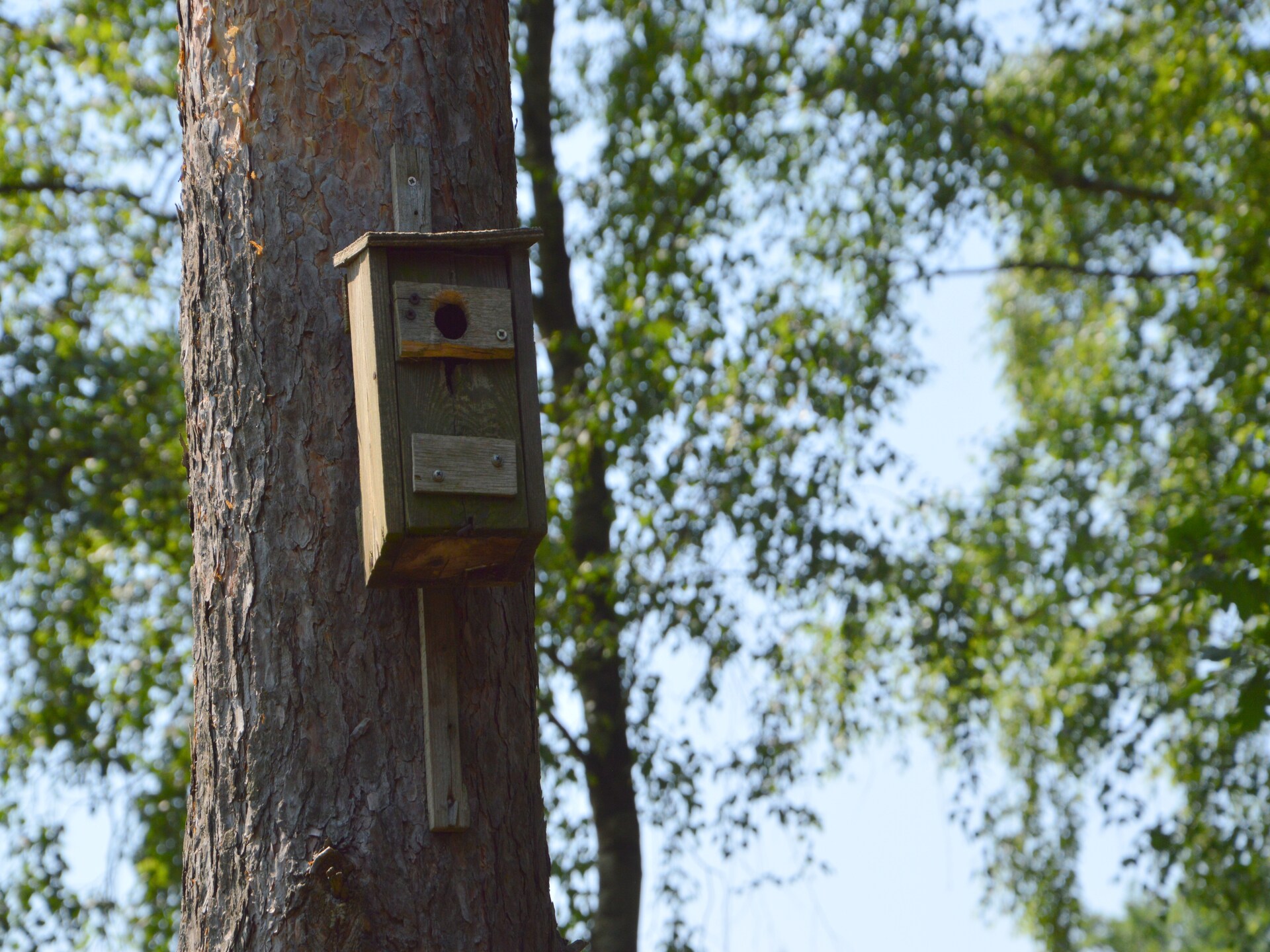 Romantisch landgoed met sauna, tuin en golf in Limburg - foto 20