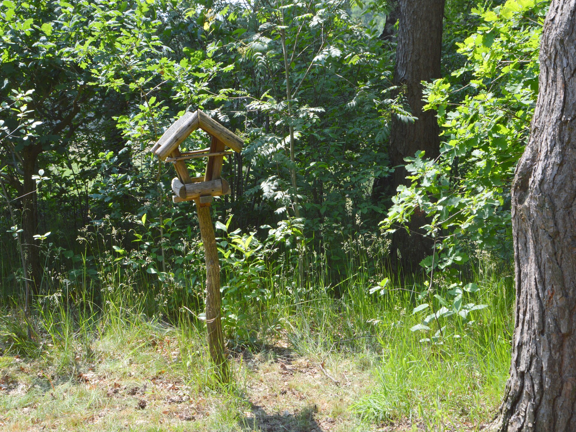 Romantisch landgoed met sauna, tuin en golf in Limburg - foto 12