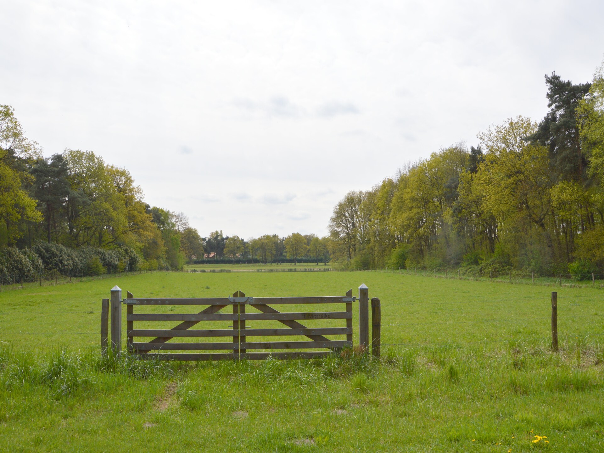 Romantisch landgoed met sauna, tuin en golf in Limburg - foto 30