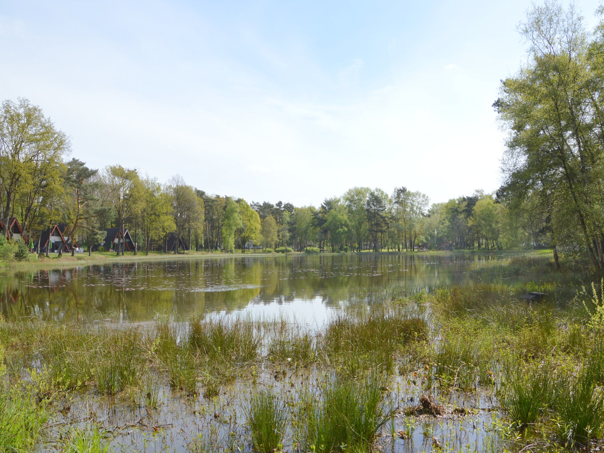 Romantisch landgoed met sauna, tuin en golf in Limburg - foto 14
