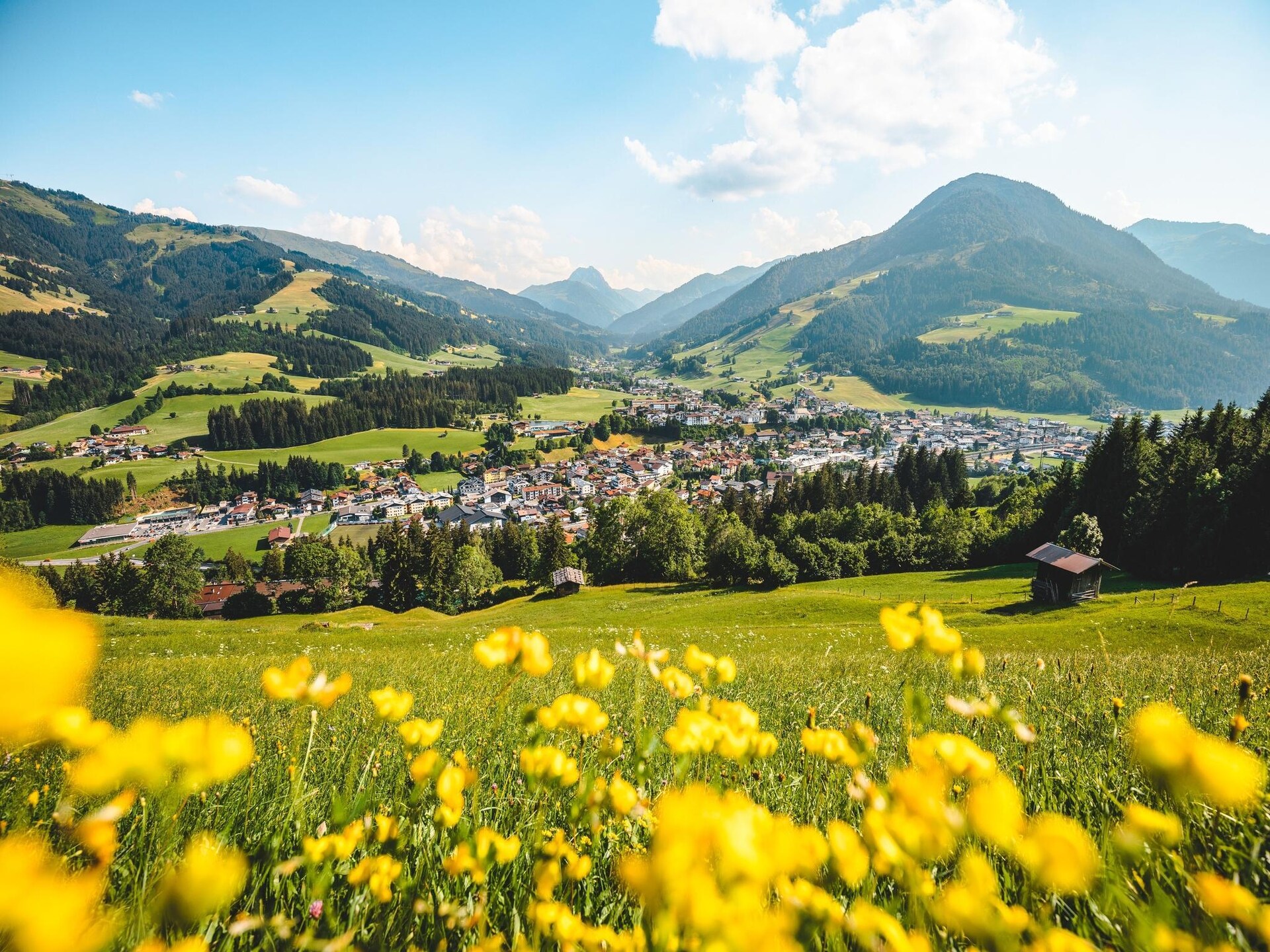Residenz Edelalm Top 2: Luxe appartement op 100m van de skilift in Brixen im Thale - foto 28
