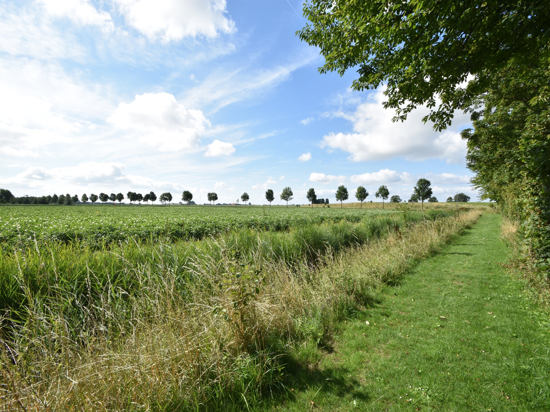 Het Mosselhuys: Vrijstaand vakantiehuis met omheinde tuin in Zeeland - foto 18