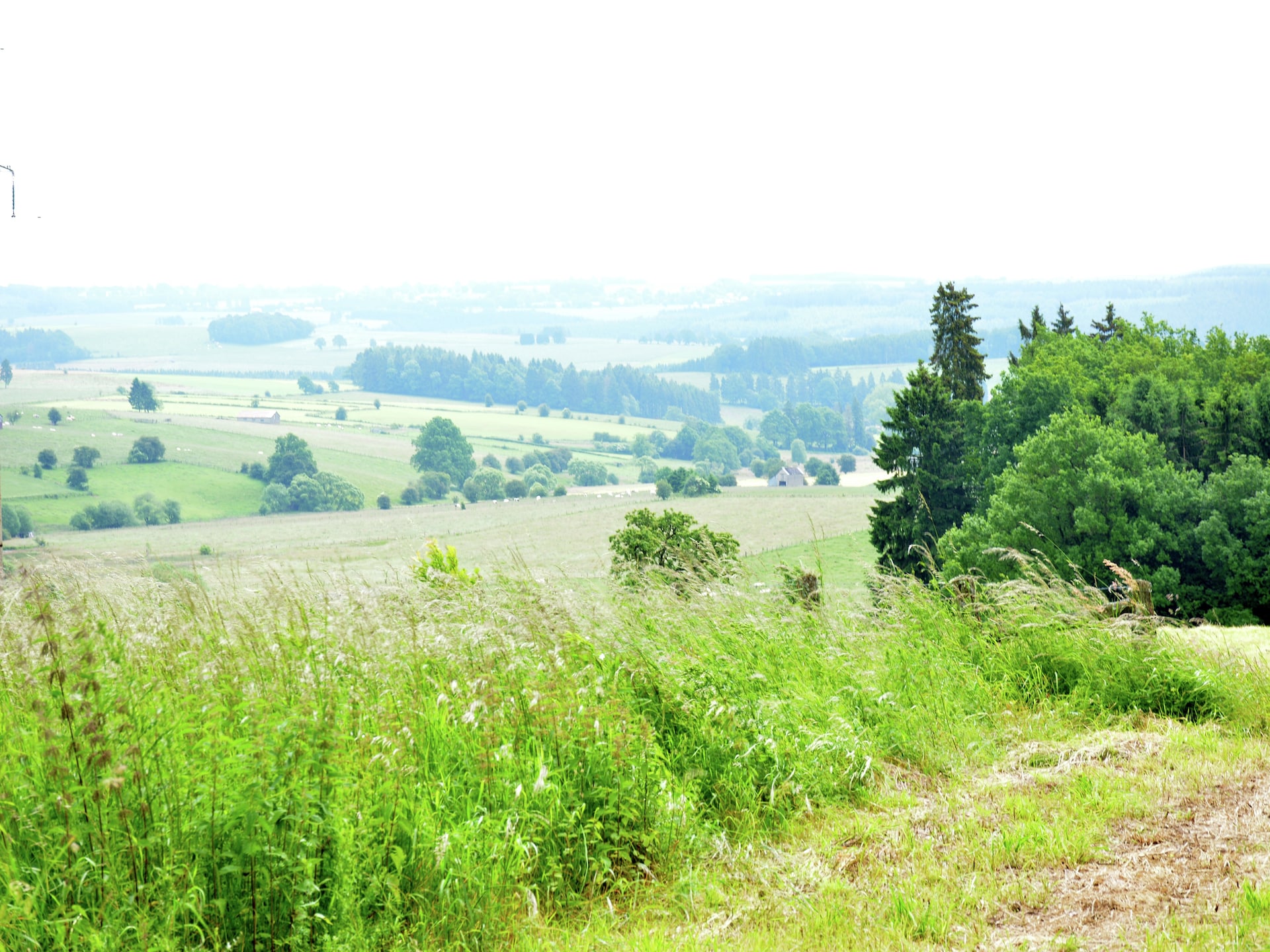 7-persoons boerderij met golfbaan op 500 m in Montleban - Gouvy - foto 19
