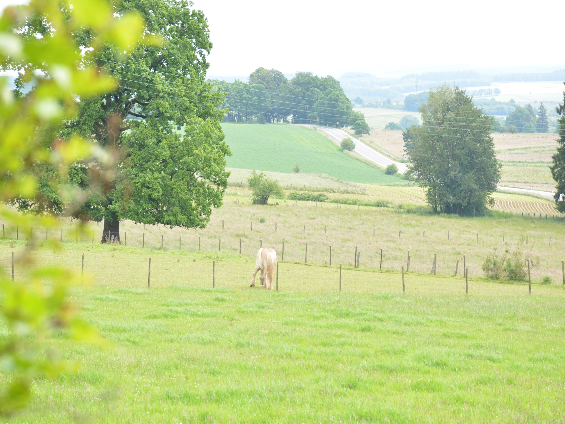 7-persoons boerderij met golfbaan op 500 m in Montleban - Gouvy - foto 20