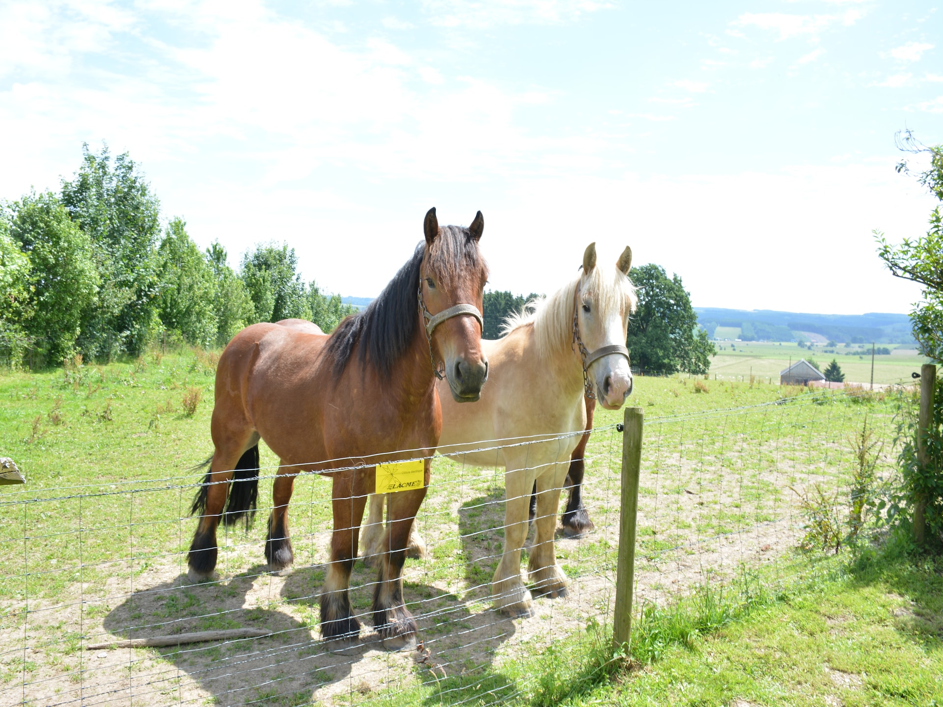7-persoons boerderij met golfbaan op 500 m in Montleban - Gouvy - foto 40