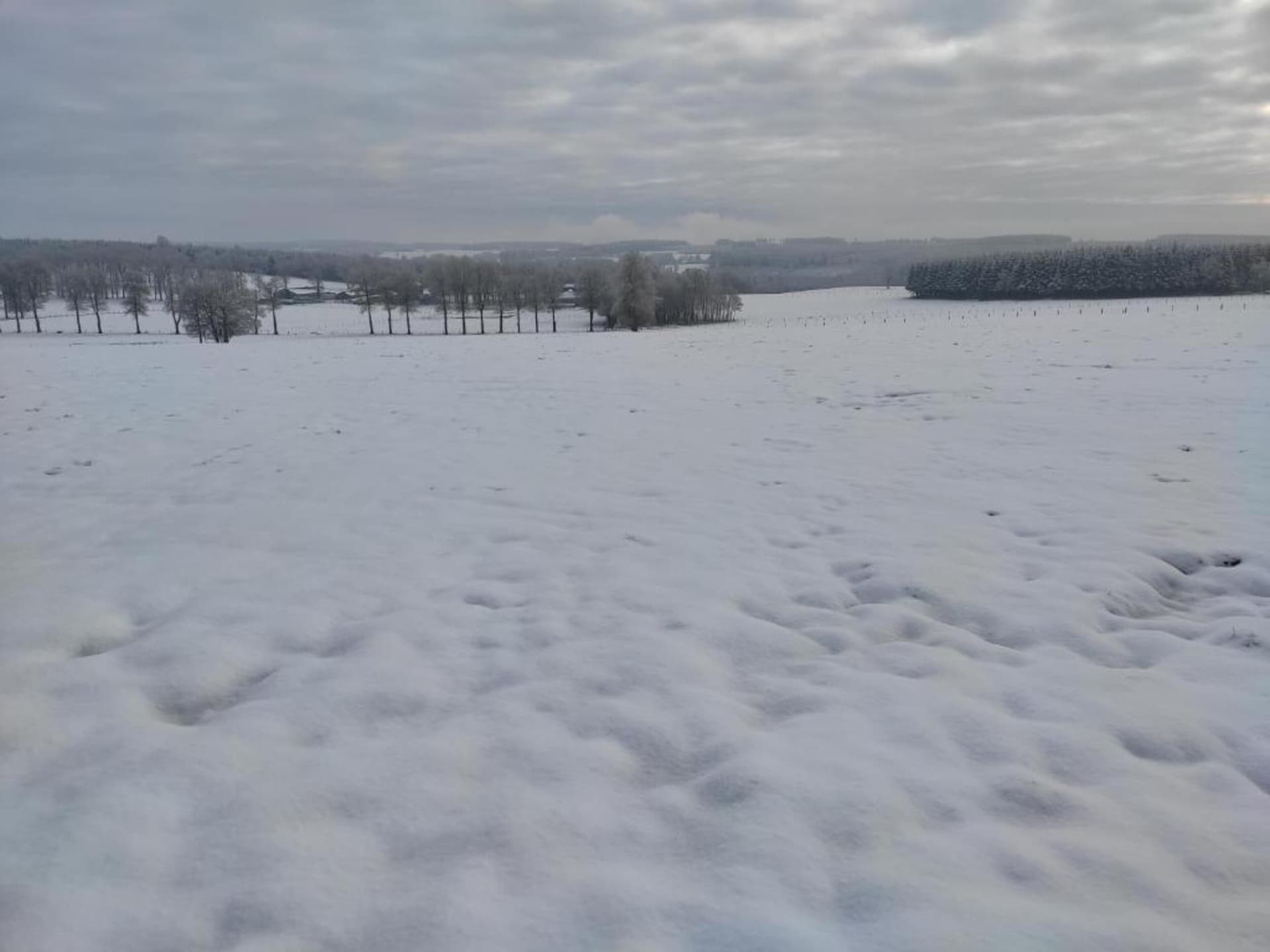 7-persoons boerderij met golfbaan op 500 m in Montleban - Gouvy - foto 32