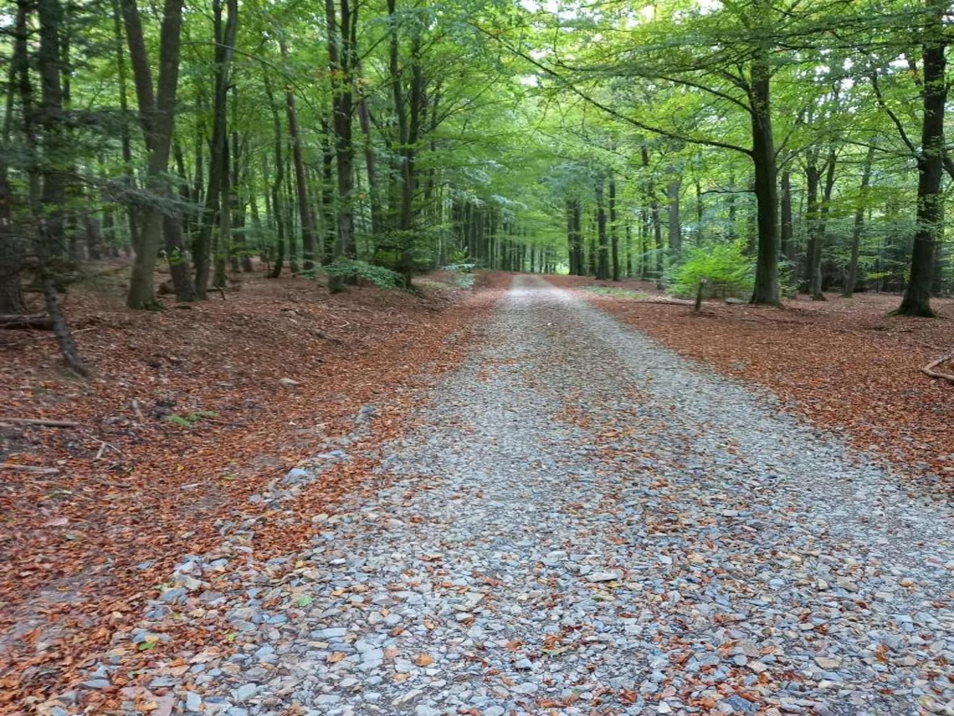 7-persoons boerderij met golfbaan op 500 m in Montleban - Gouvy - foto 25