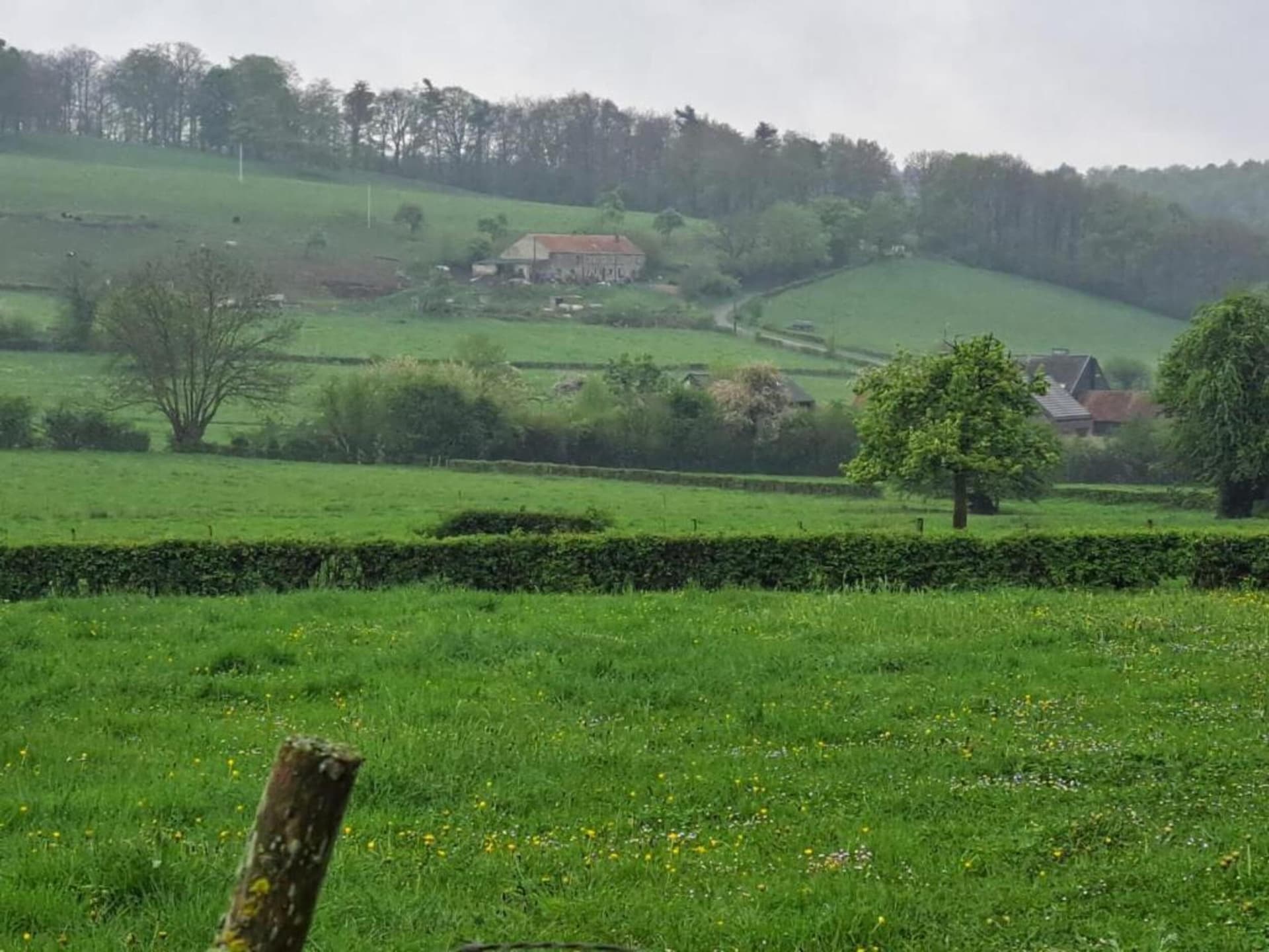 7-persoons boerderij met golfbaan op 500 m in Montleban - Gouvy - foto 28