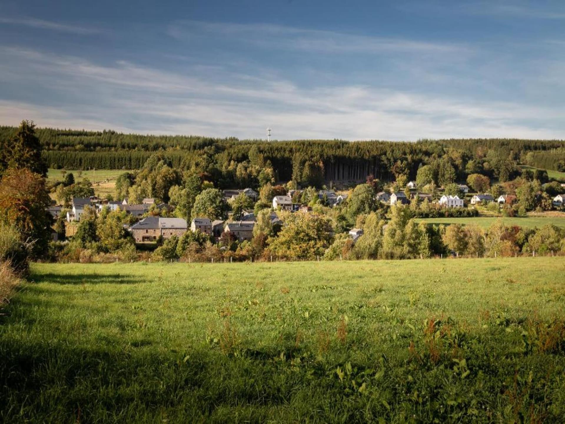 7-persoons boerderij met golfbaan op 500 m in Montleban - Gouvy - foto 31