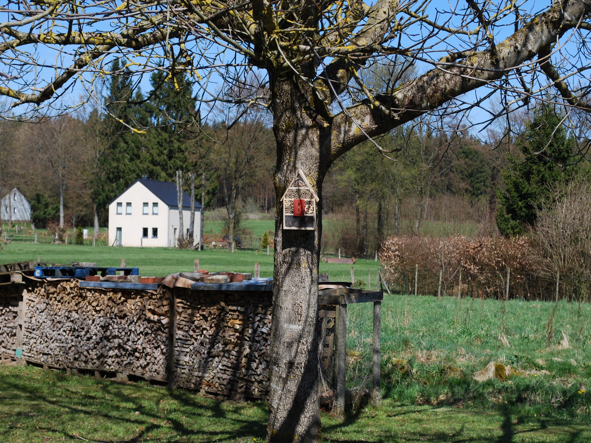 14-persoons vakantiehuis in Sourbrodt nabij de piste - foto 35