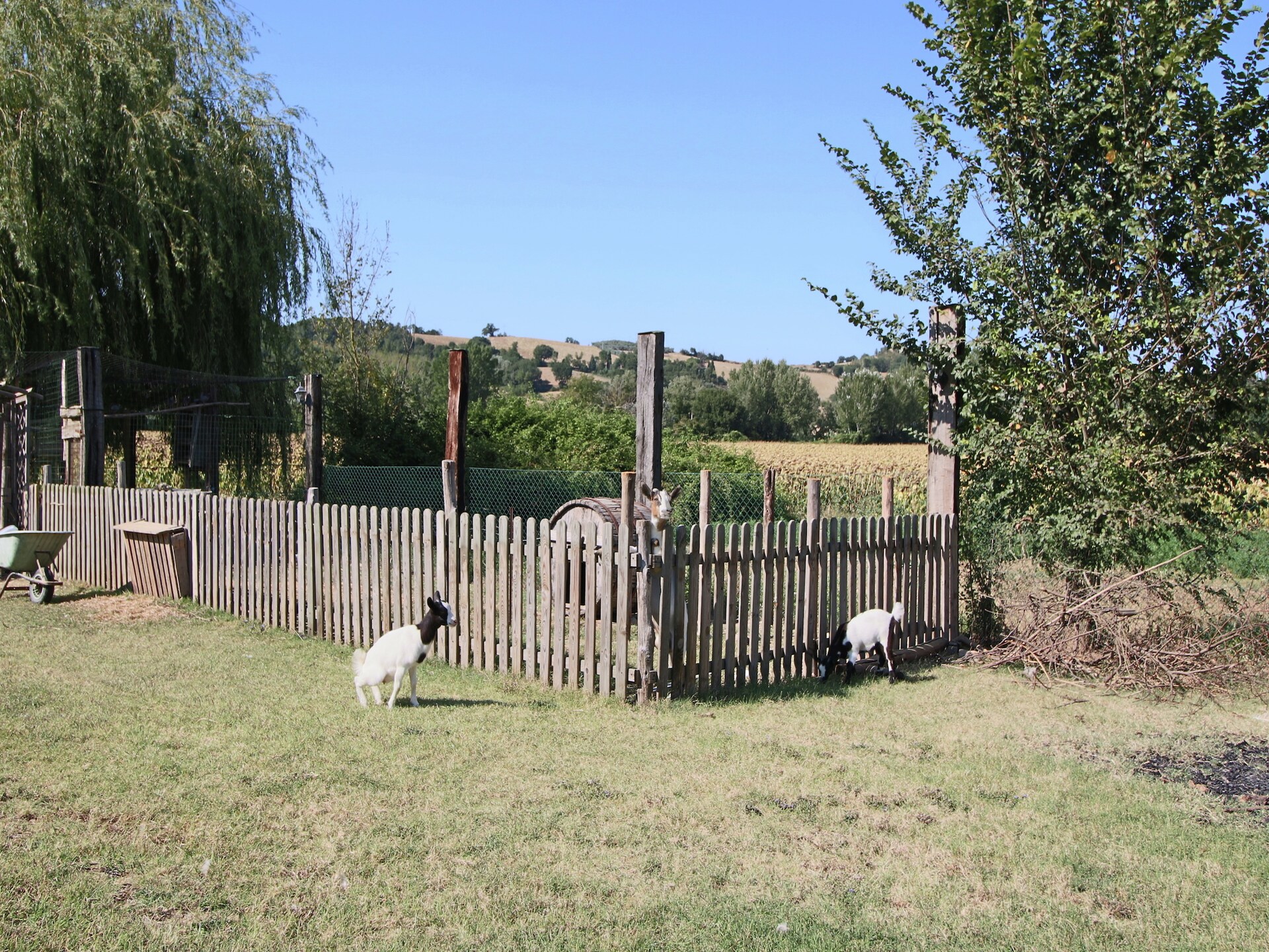 Casa Rufino: Uw privé landhuis met tuin en gedeeld zwembad in Todi - foto 18