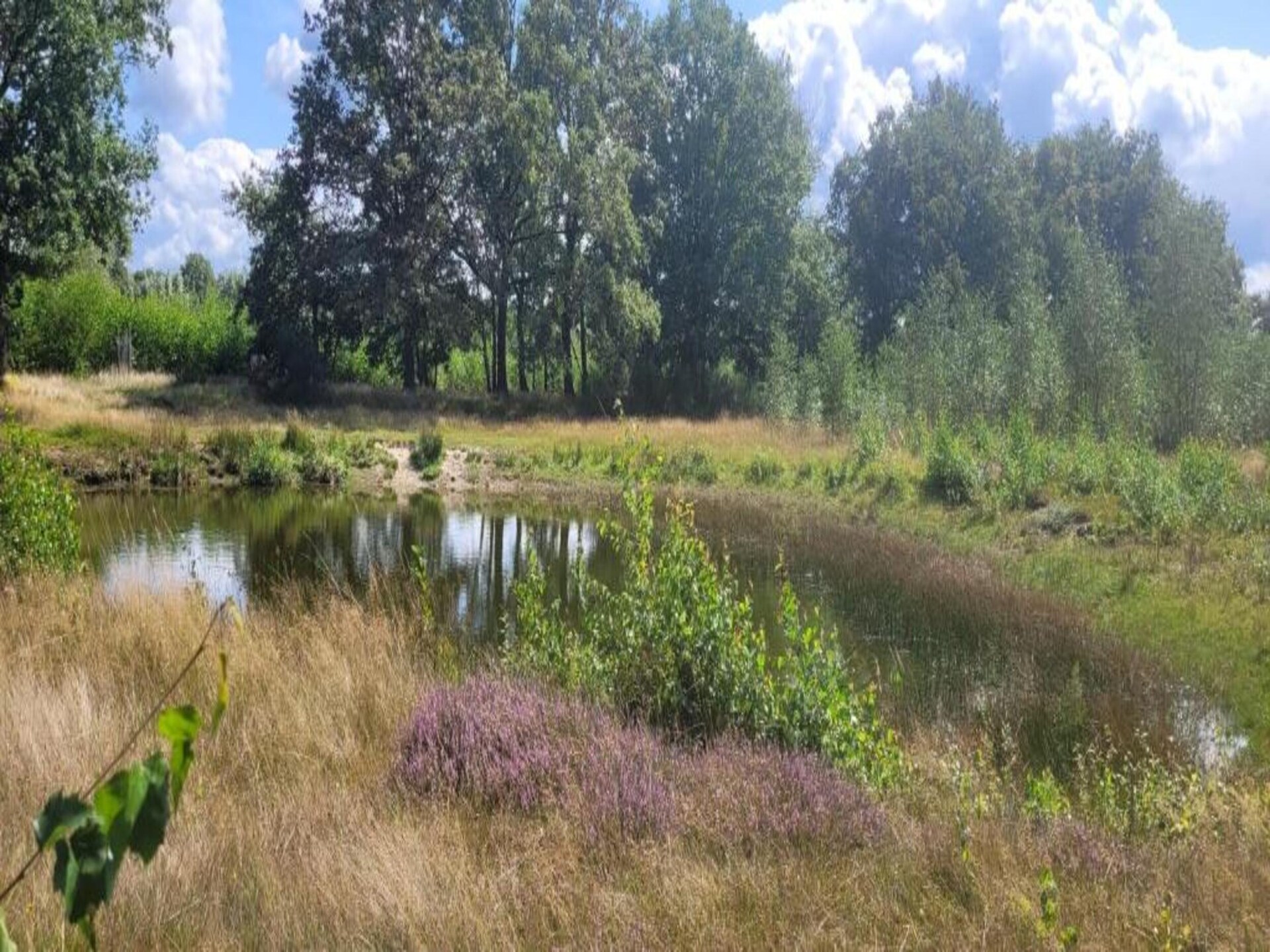 Vrijstaande bungalow op Vakantiepark Sandberghe voor 5 personen - foto 25