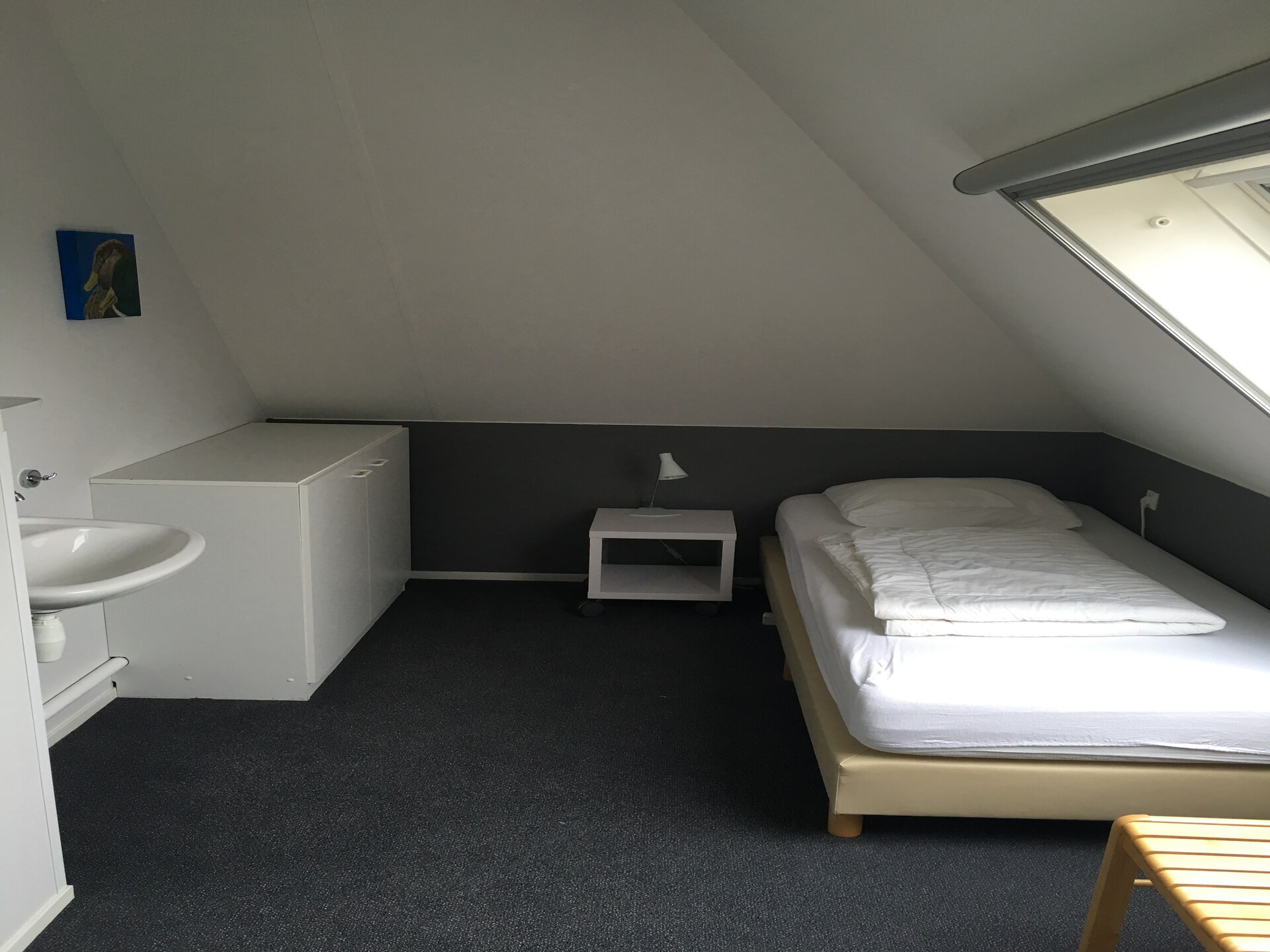 Luxe wellness bungalow aan het meer in Nationaal Park De Alde Feanen - foto 3