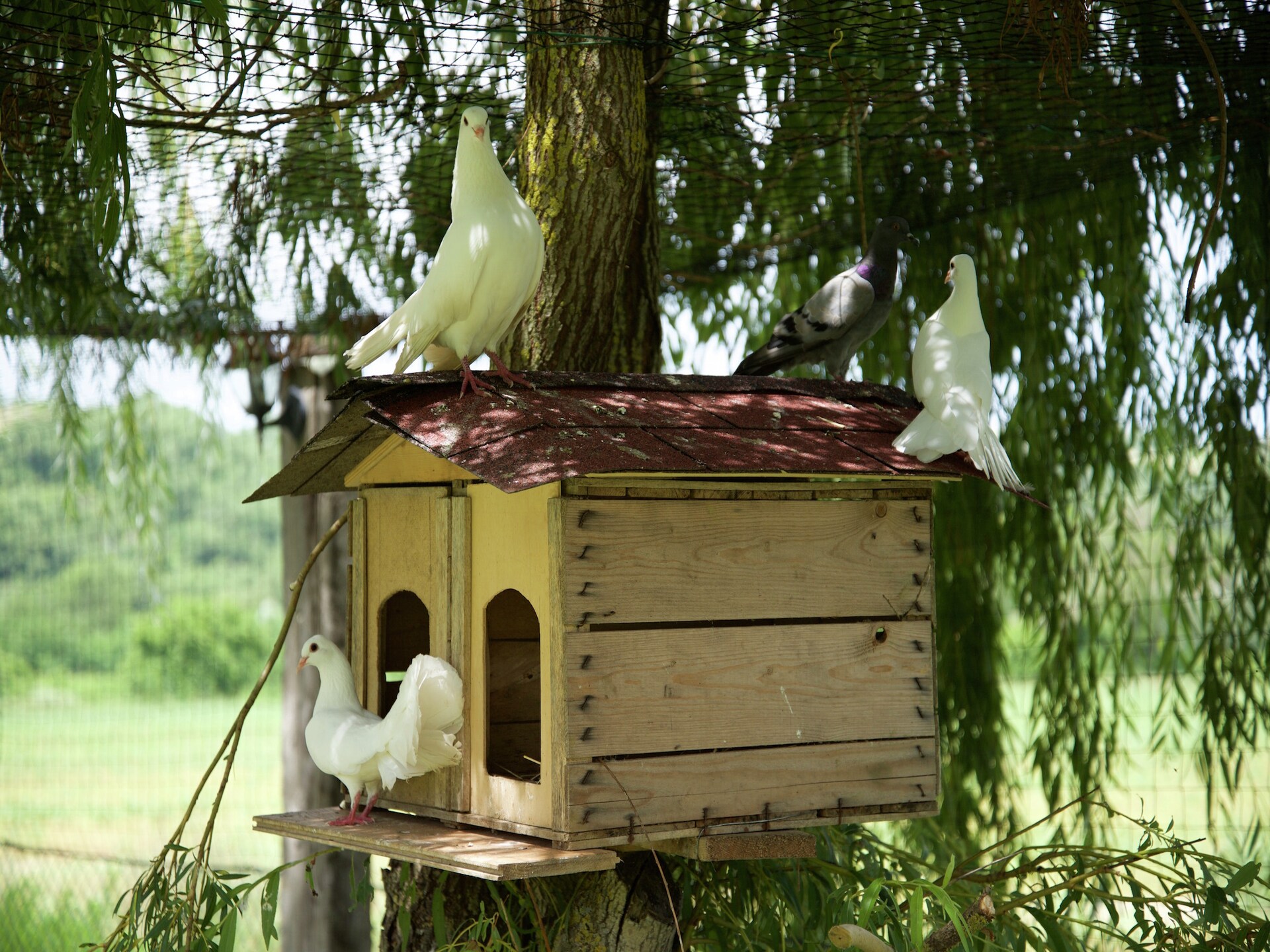 Sfeervol appartement Casa Visietto in het hart van Todi - foto 25