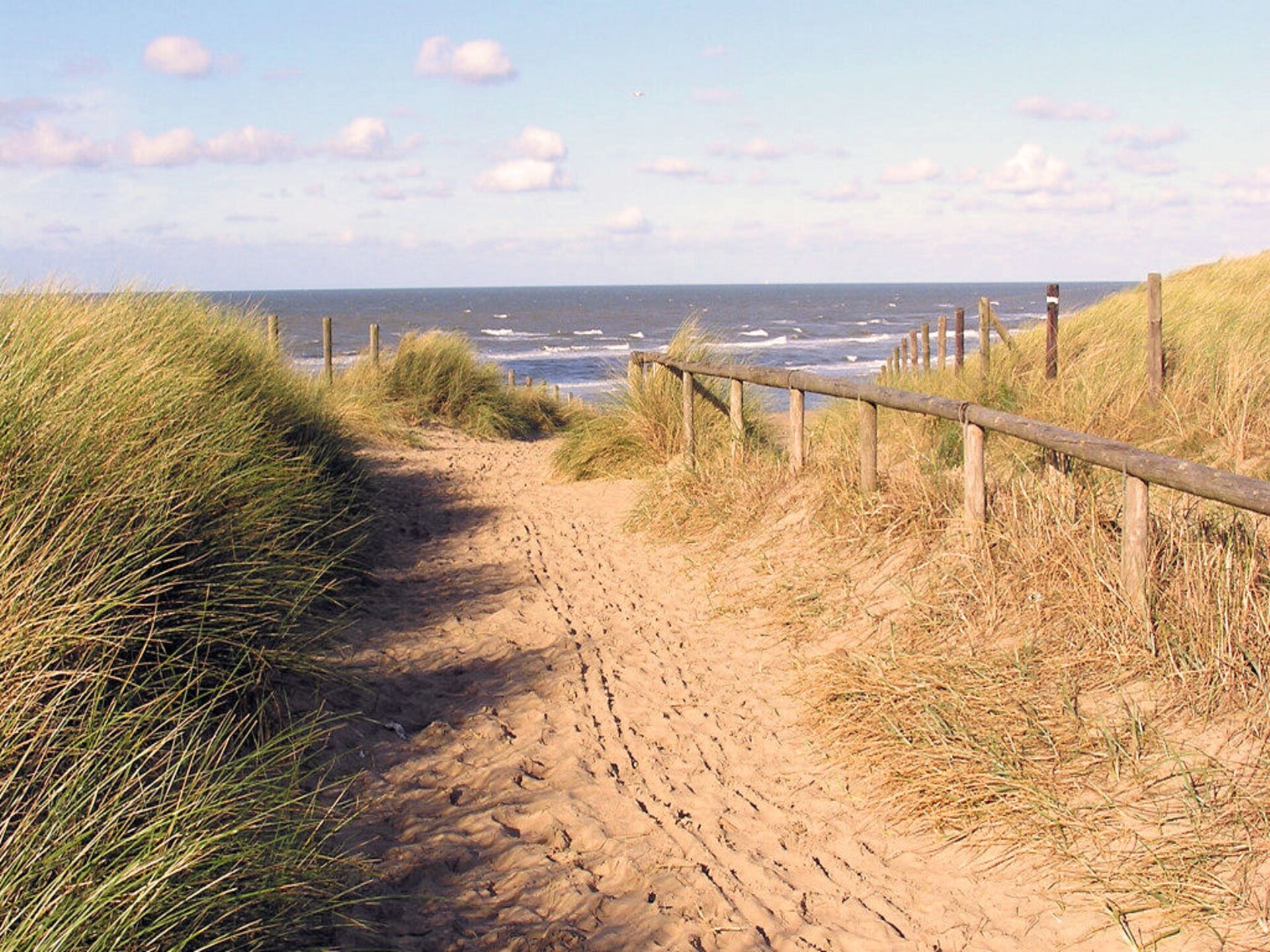 Searose: Romantisch vakantiehuis in de Noordwijkse bossen, 1 km van zee - foto 21