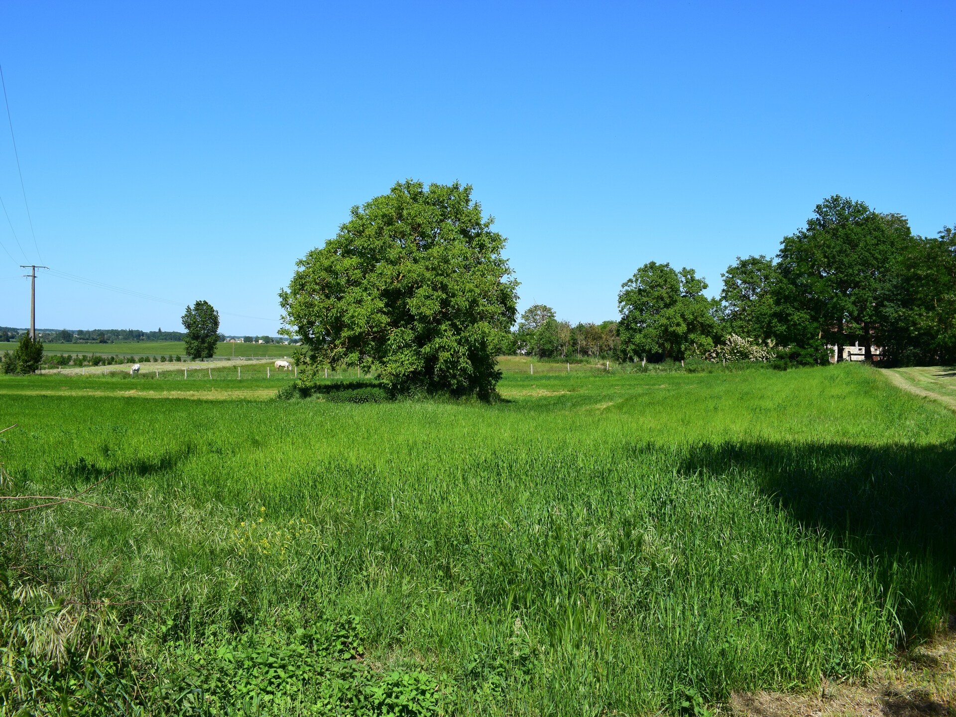 Authentiek landhuis met zwembad en tuin in Frontenay-sur-Dive - foto 23
