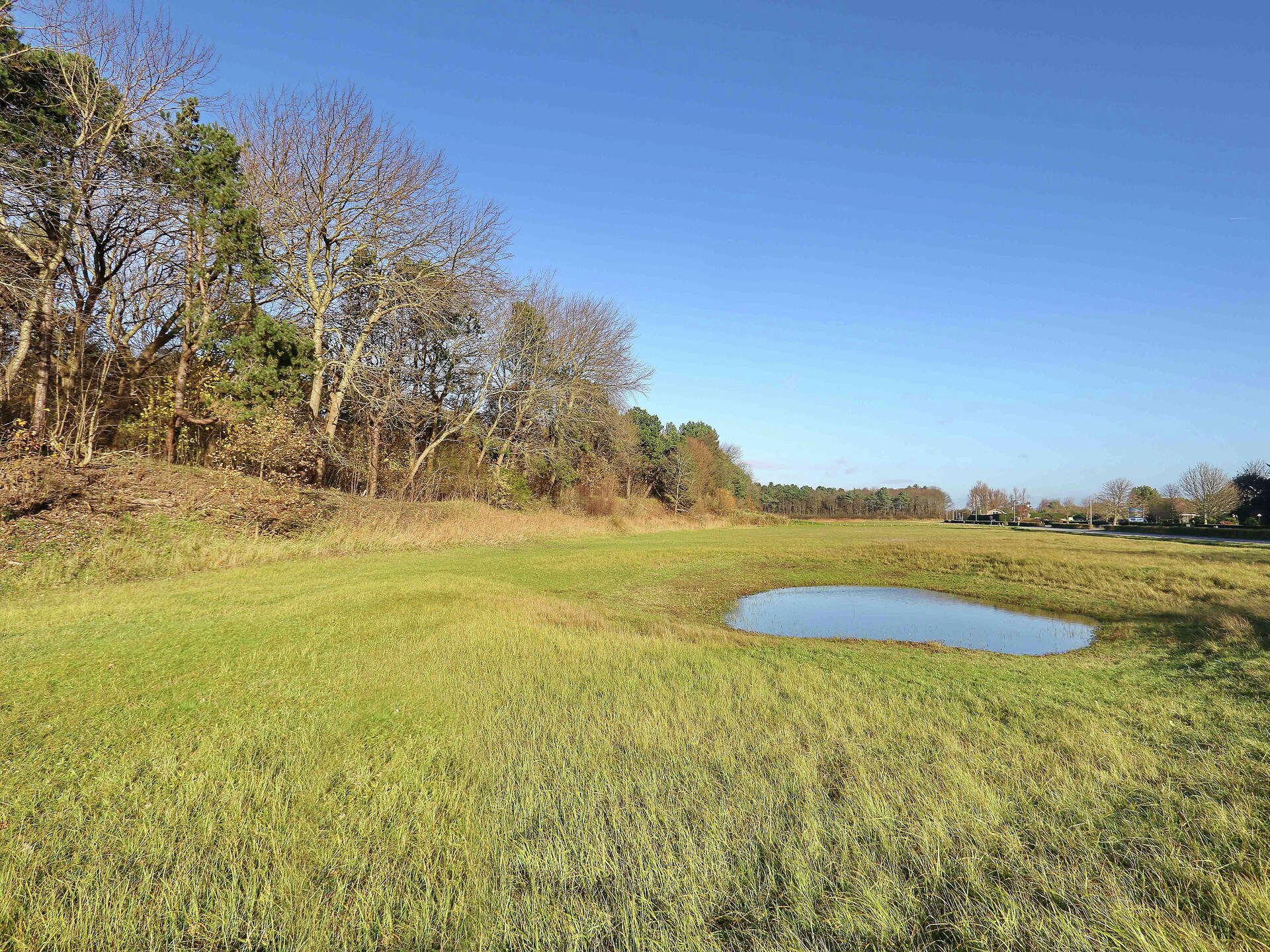 Duinvilla Noordwijk: Luxe groepsaccommodatie met sauna en natuurvijver - foto 34