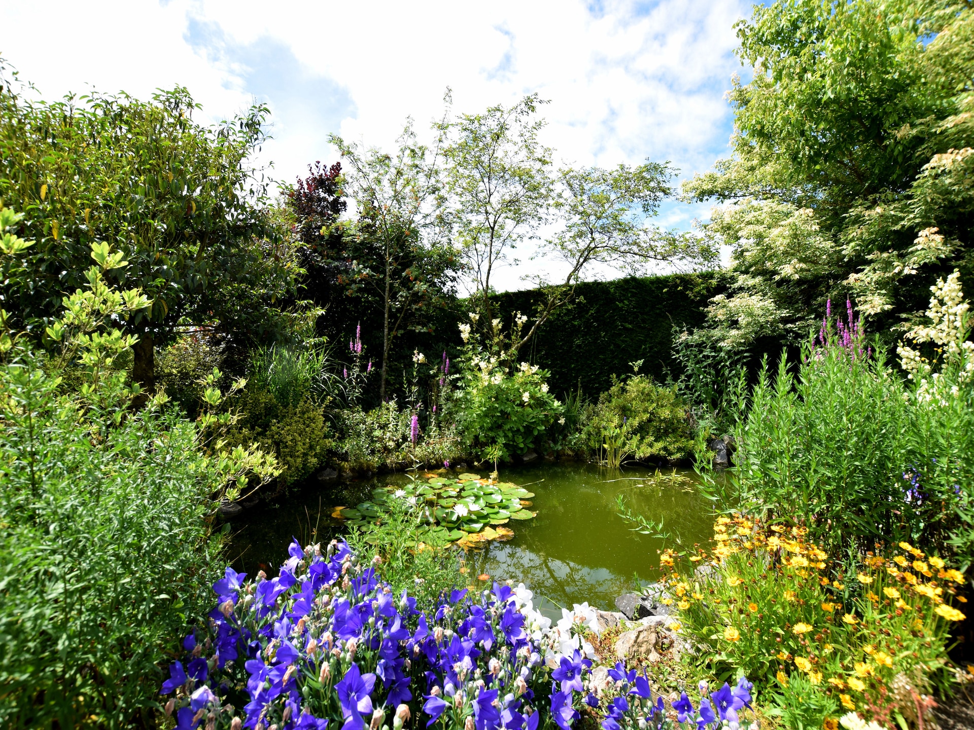 8-persoons vakantiehuis met tuin en vijver in Septon - foto 35