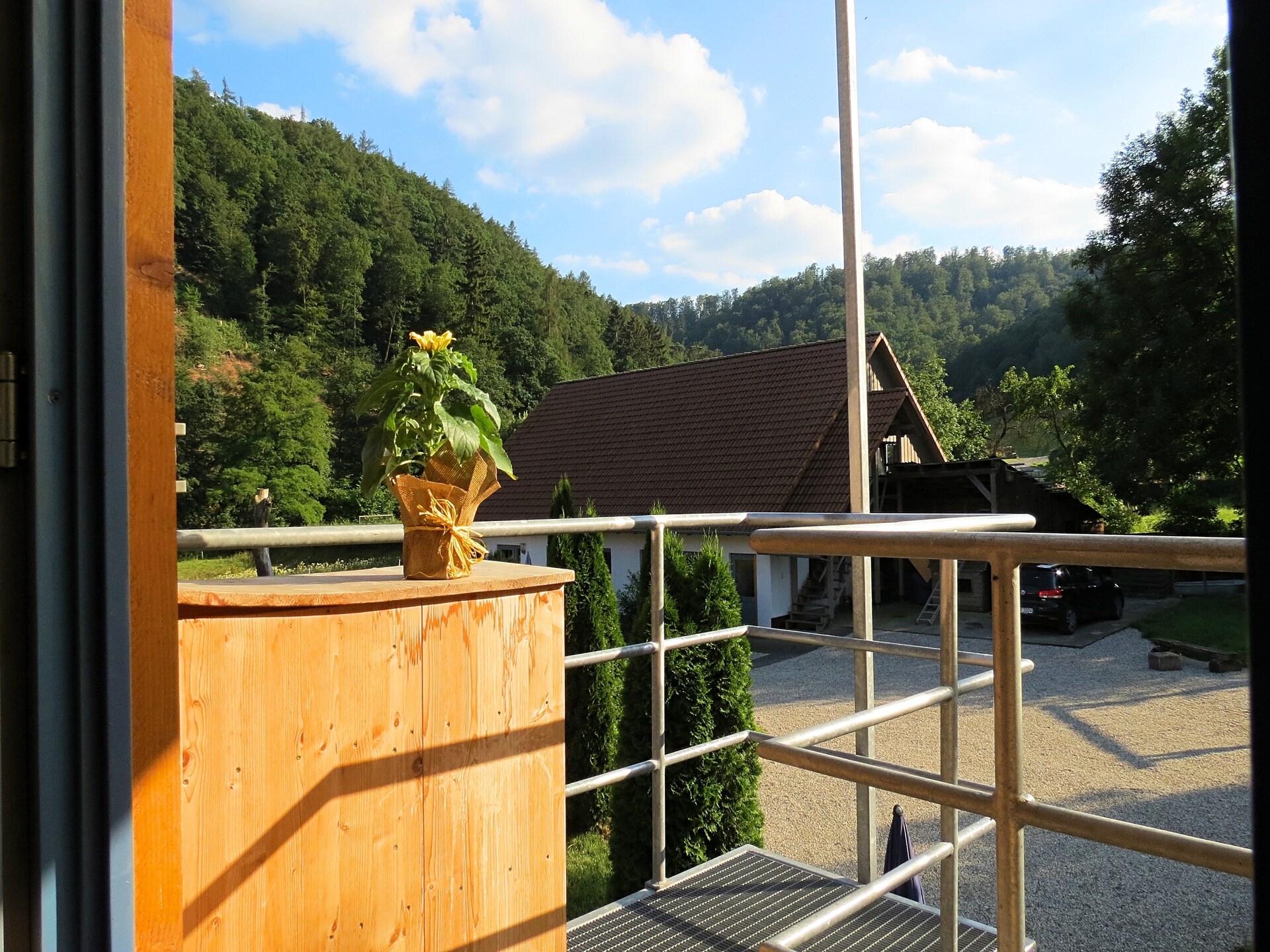 Ruim vakantieappartement op boerderij bij Nationaal Park Kellerwald-Edersee - foto 18