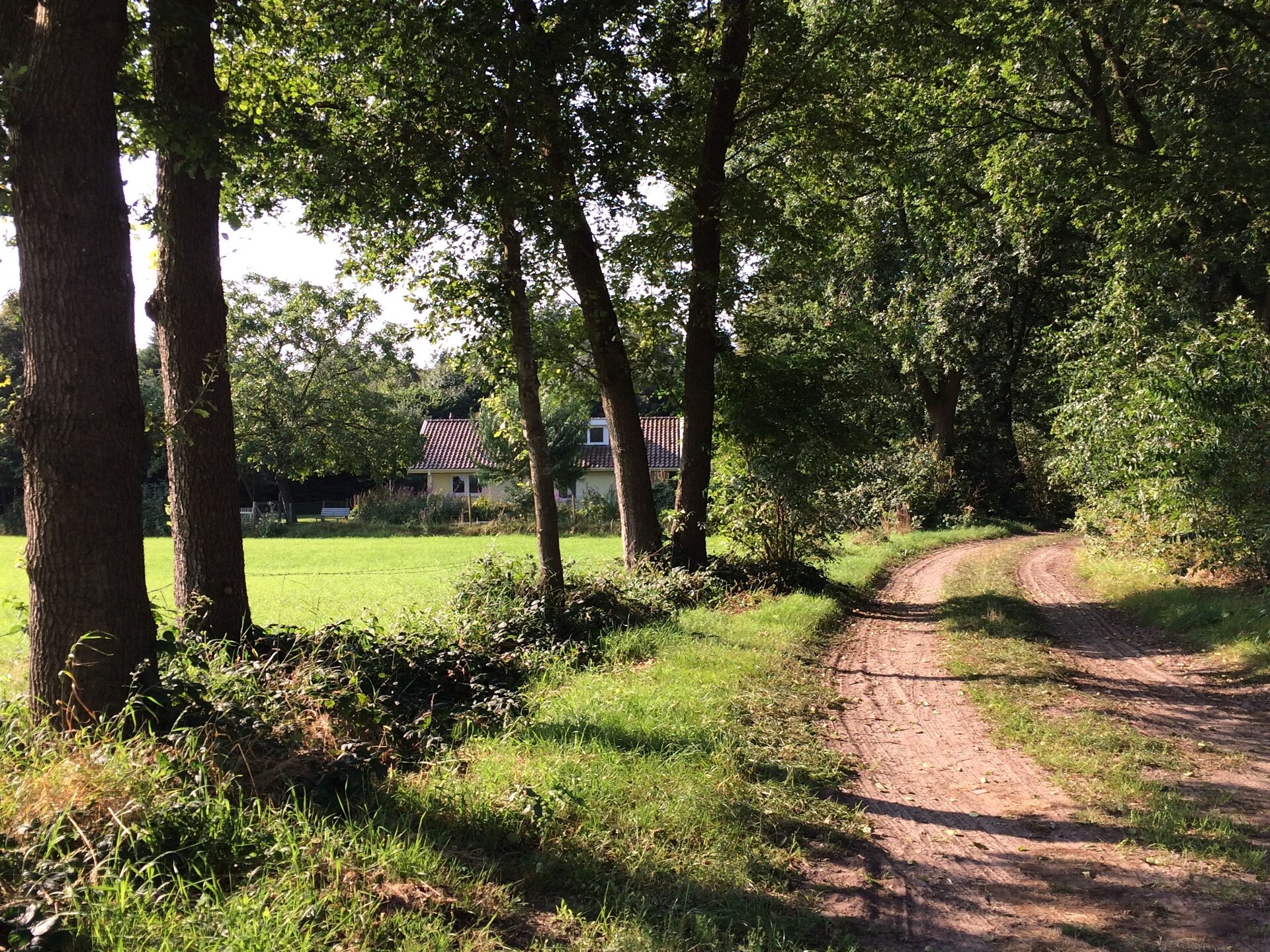 Vrijstaand vakantiehuis Kempernoel in Heino met 3500m² tuin aan bosrand - foto 37